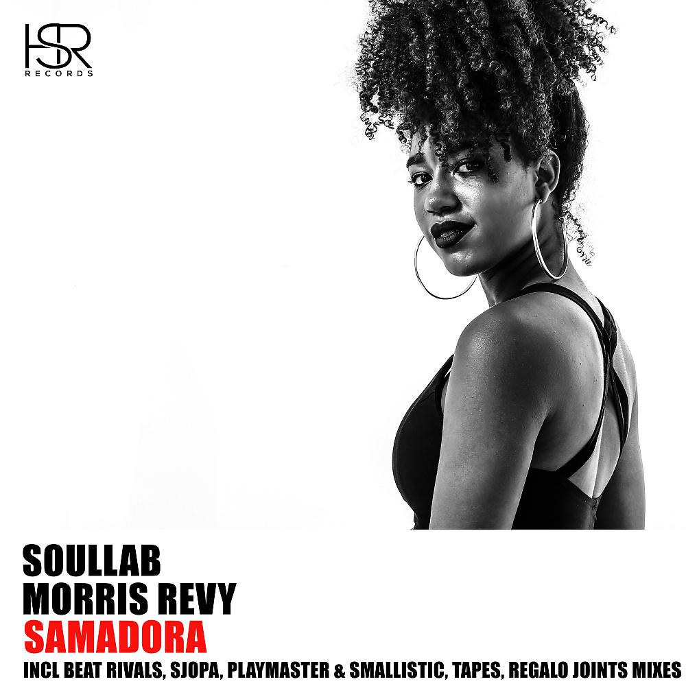 Постер альбома Samadora (Remixes)