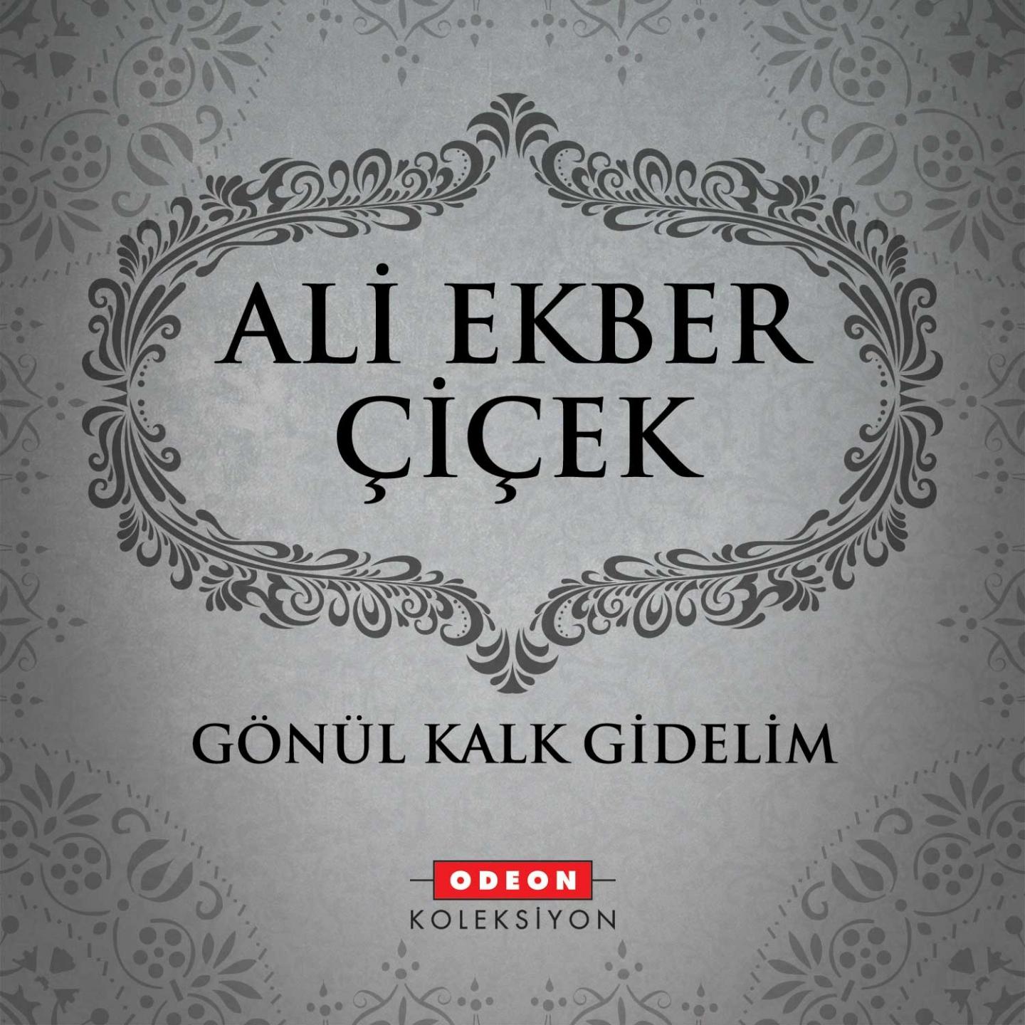 Постер альбома Gönül Kalk Gidelim