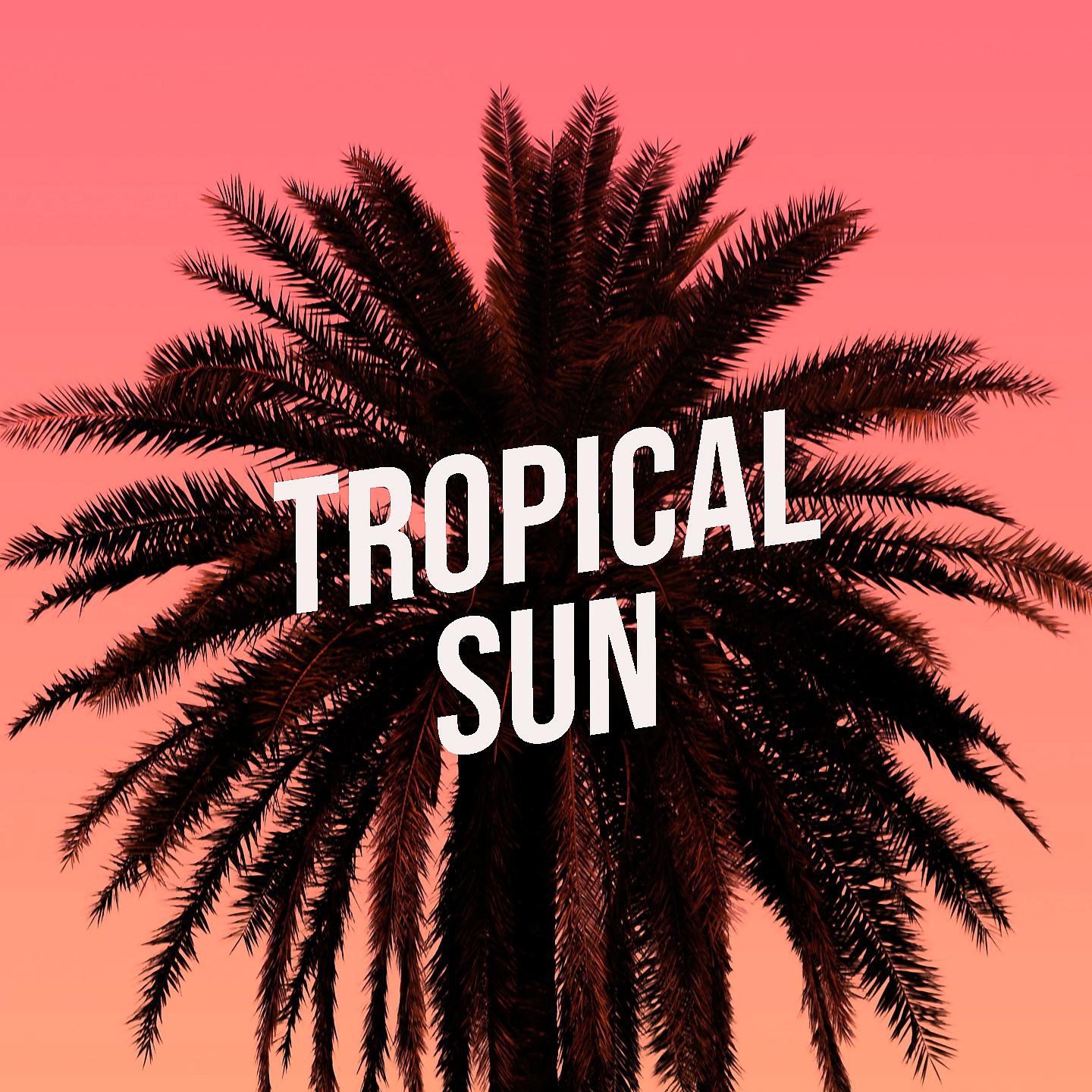 Постер альбома Tropical Sun