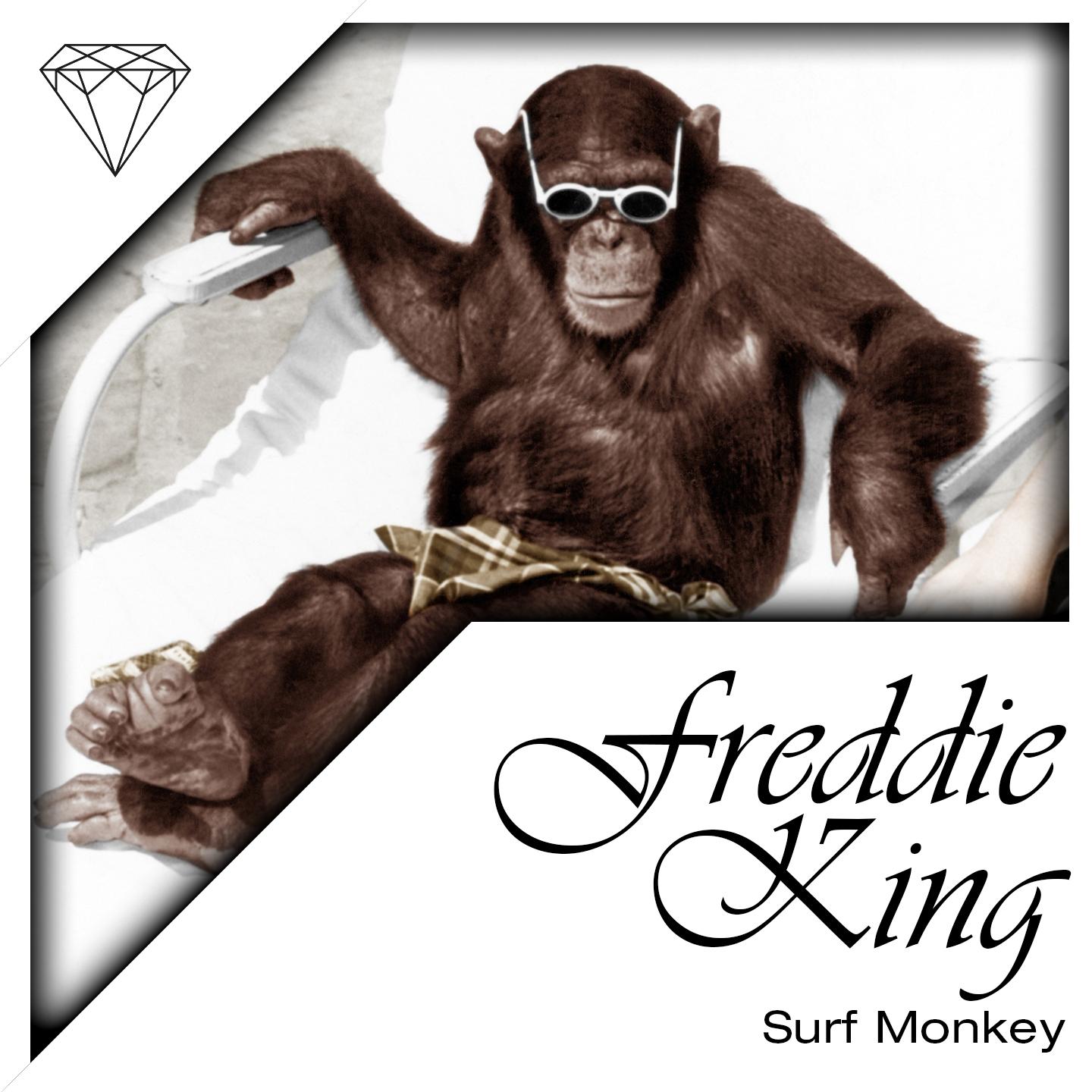 Постер альбома Surf Monkey