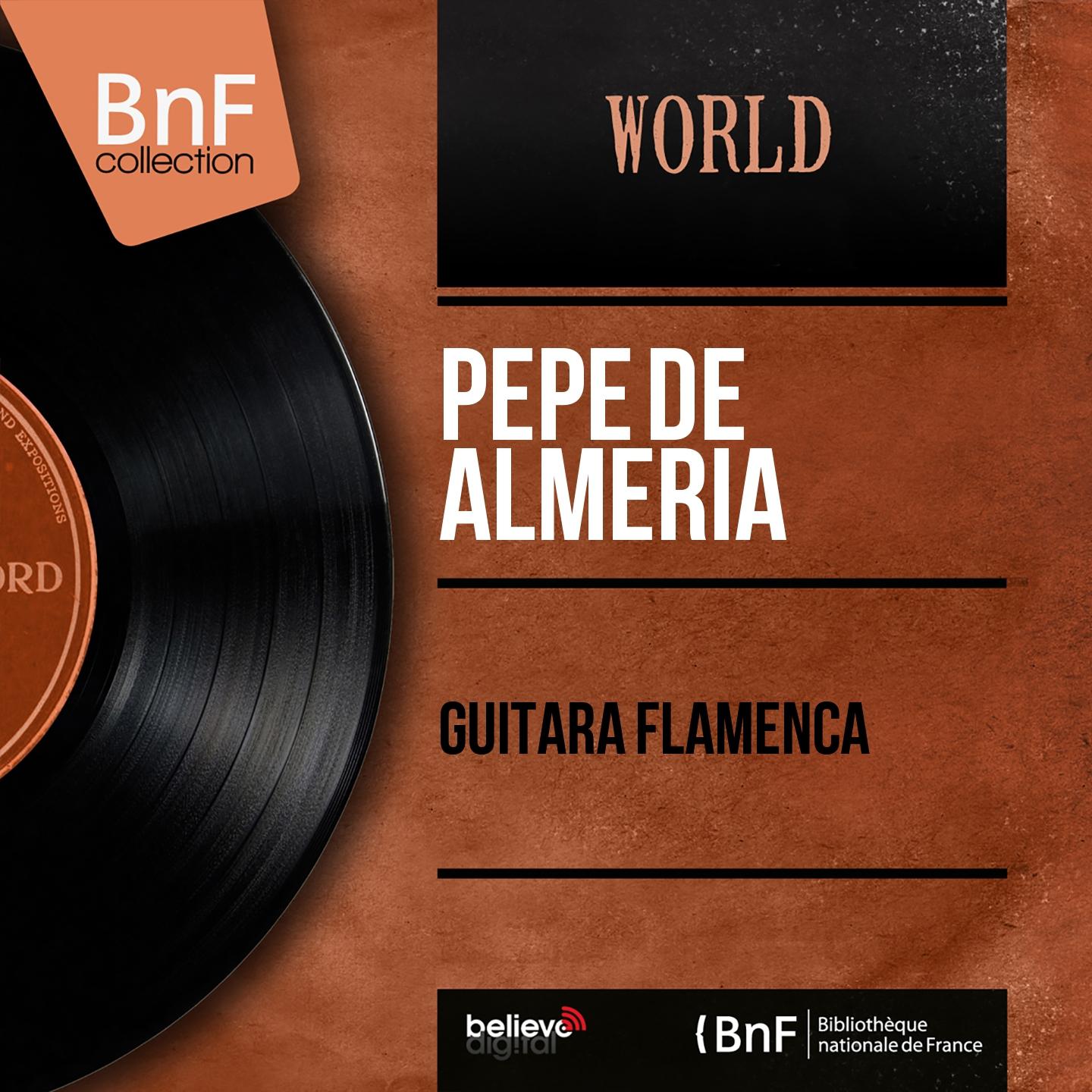 Постер альбома Guitara Flamenca (Mono Version)