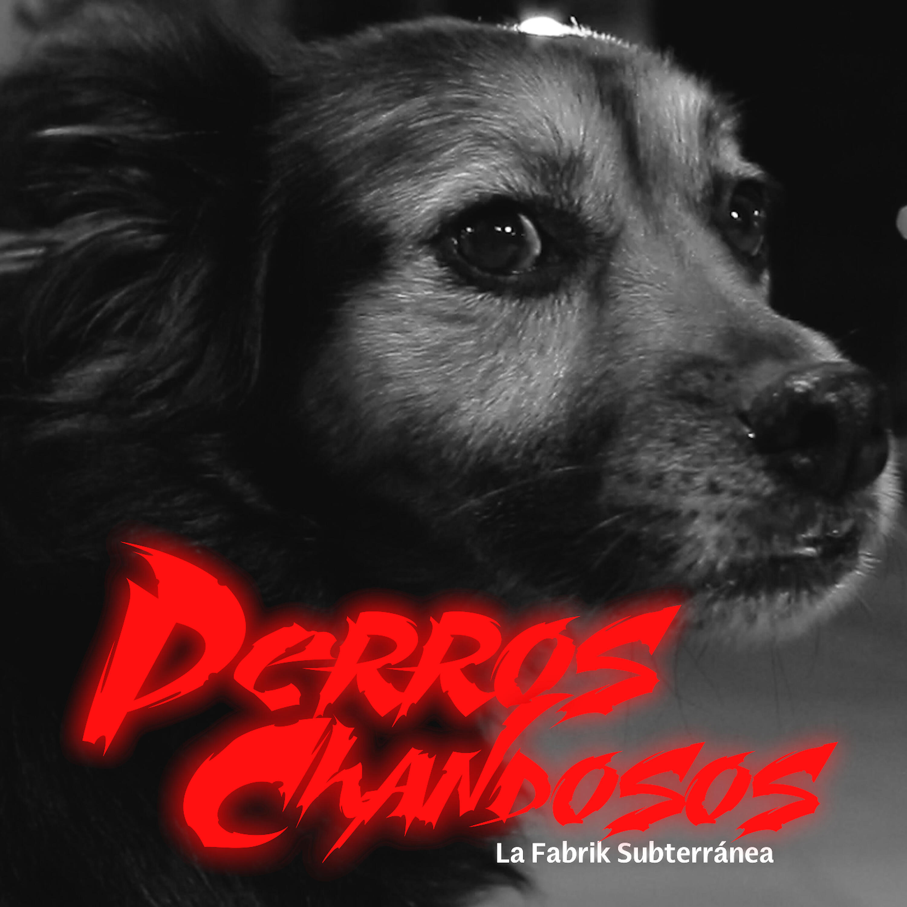 La Fabrik Subterranea - Perros Chandosos