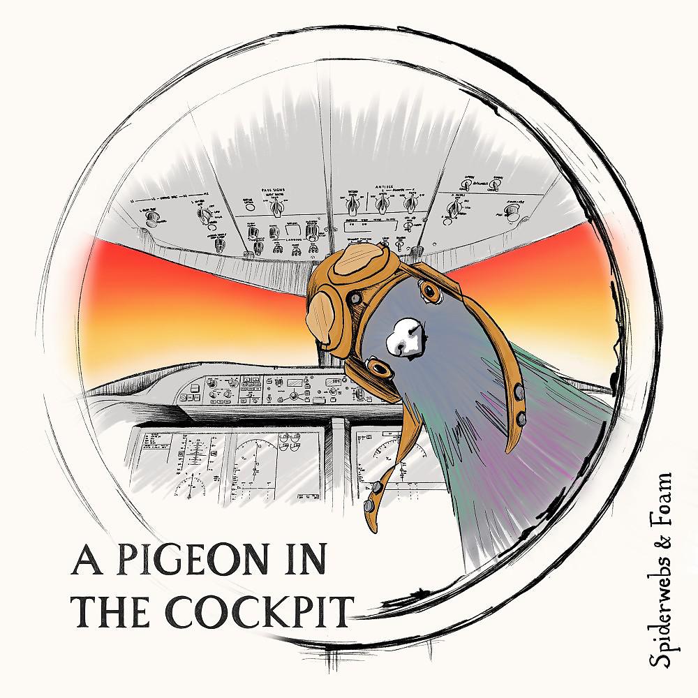 Постер альбома A Pigeon in the Cockpit