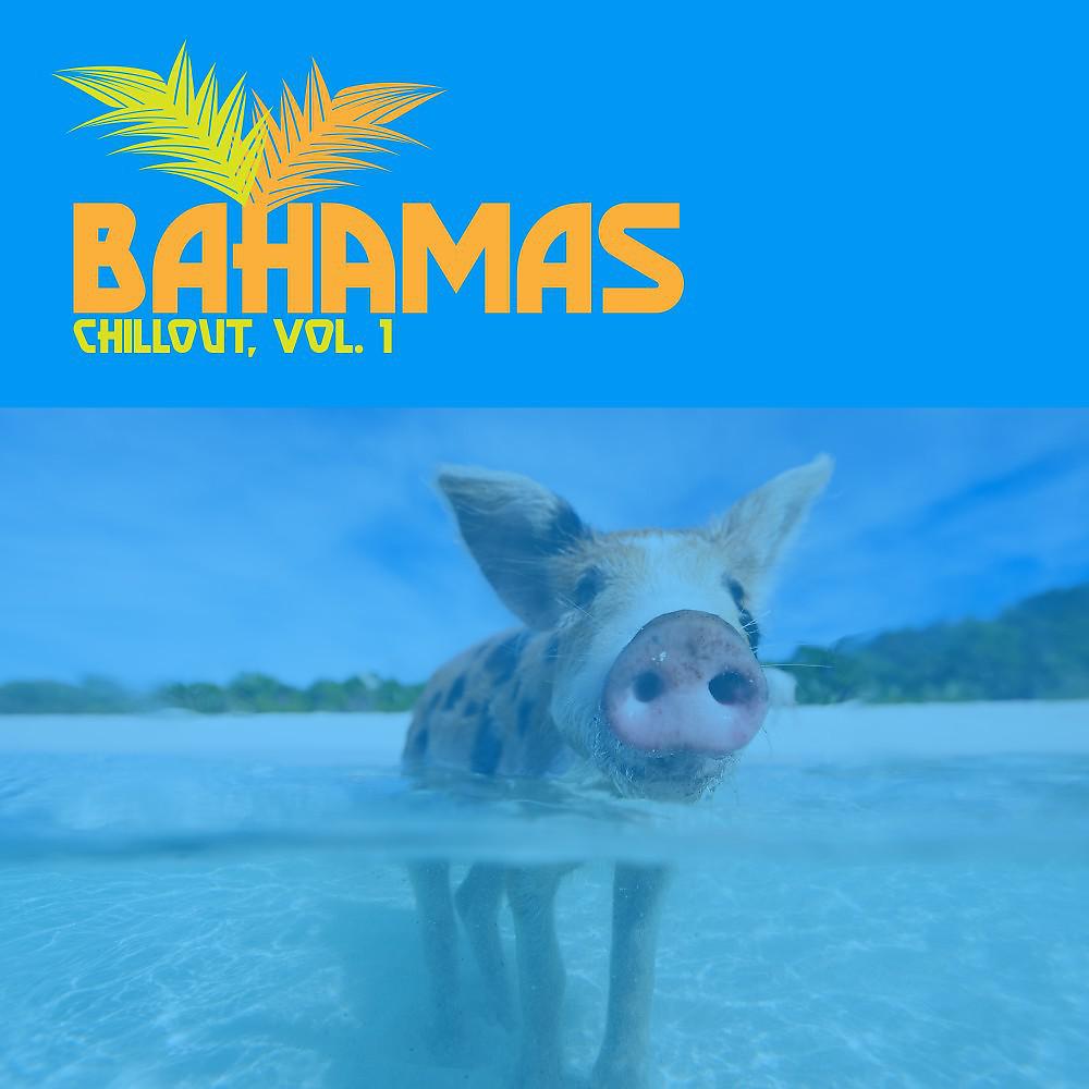 Постер альбома Bahamas Chillout, Vol. 1
