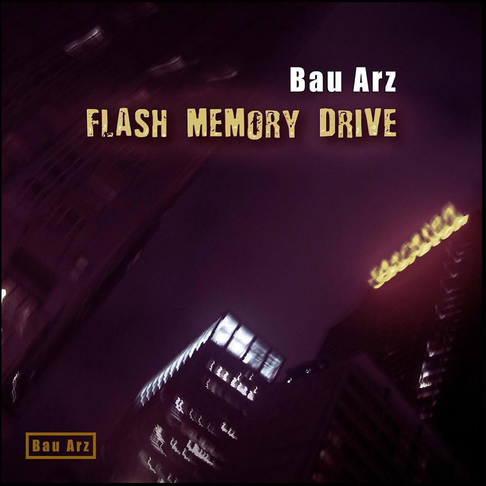 Постер альбома Flash Memory Drive (Radio Edit)