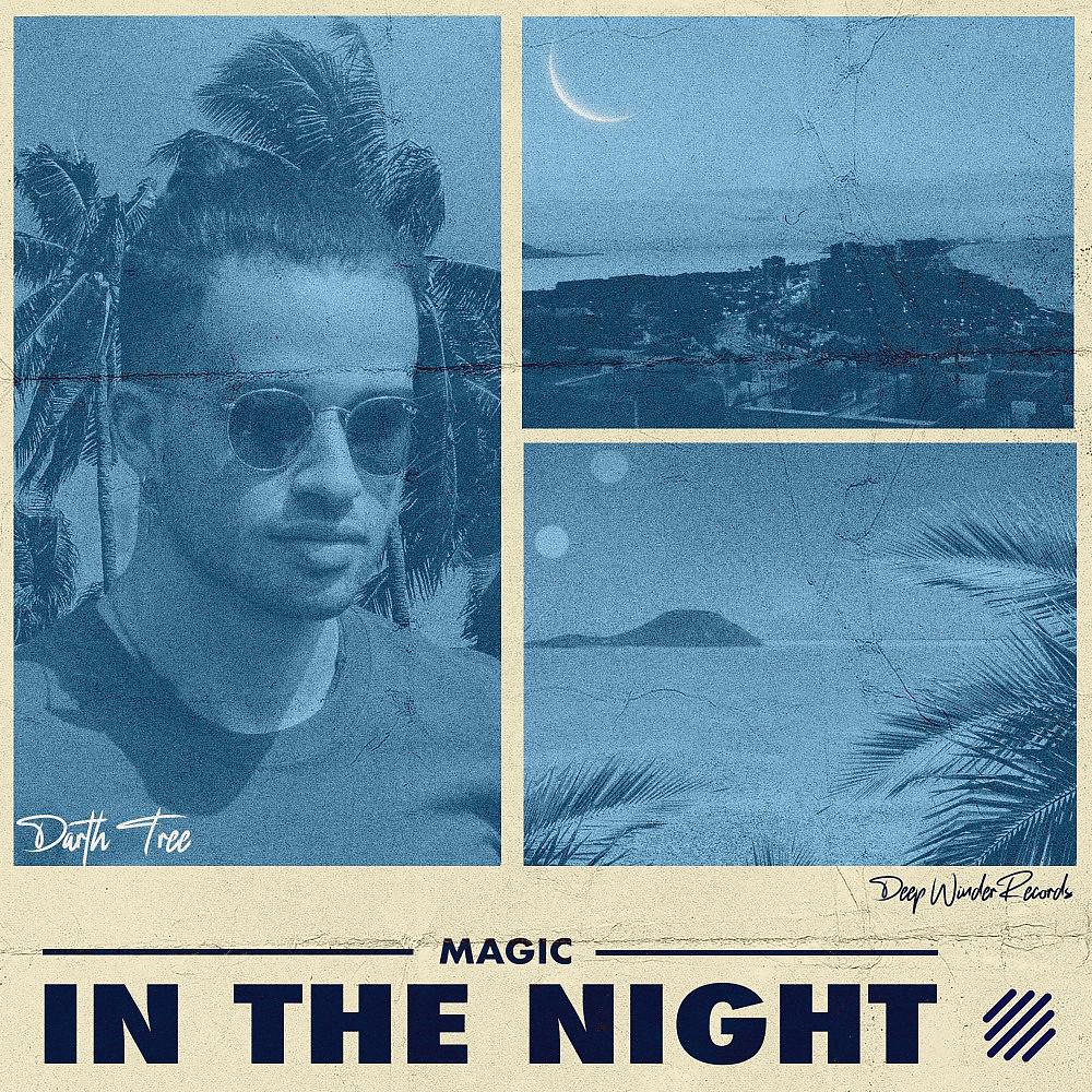 Постер альбома Magic in the Night