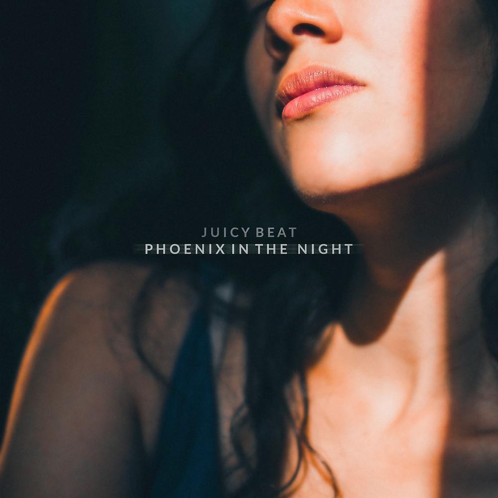 Постер альбома Phoenix in the Night - Single