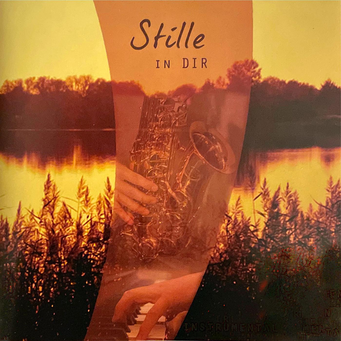 Постер альбома Stille in Dir