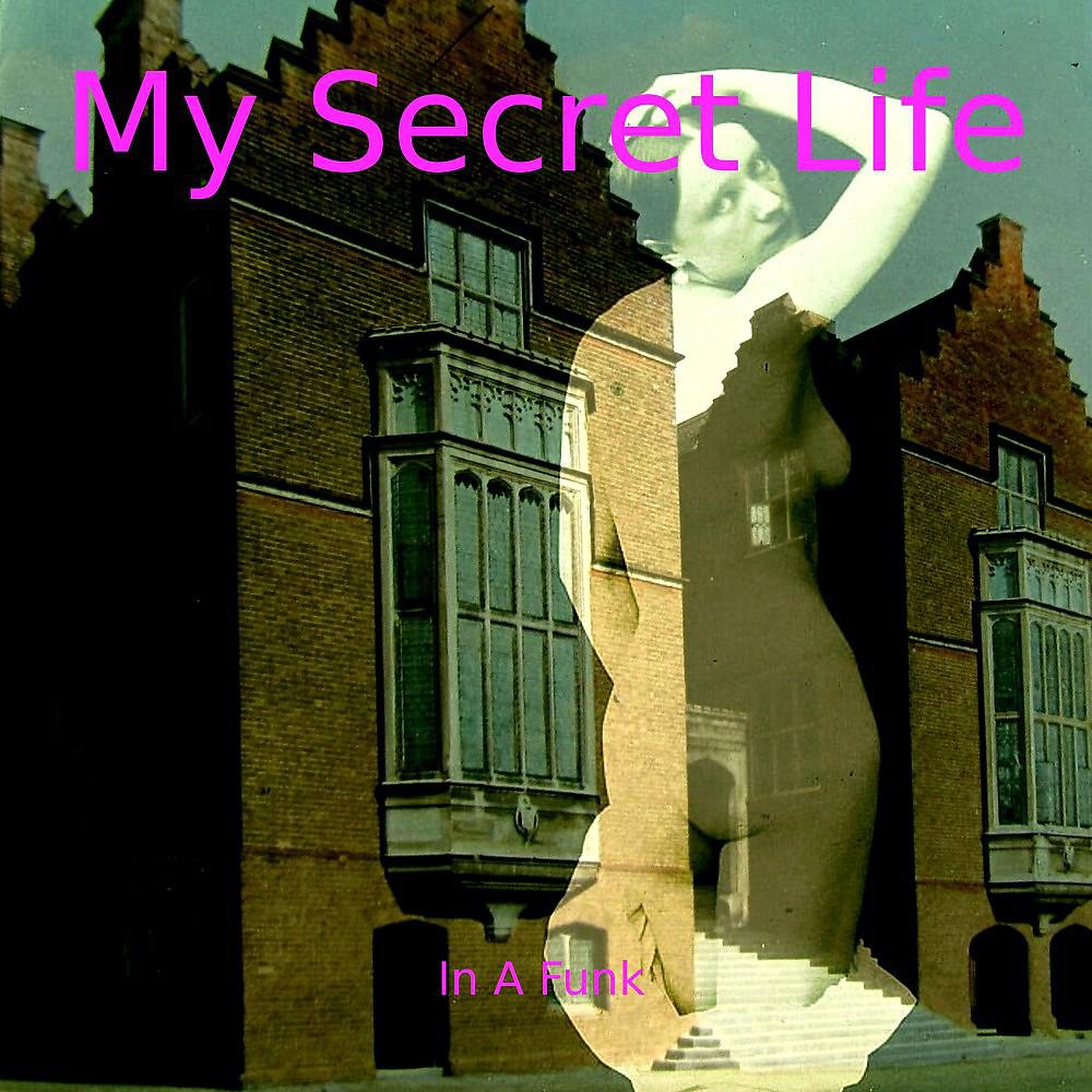 Постер альбома In a Funk (My Secret Life, Vol. 1 Chapter 4)