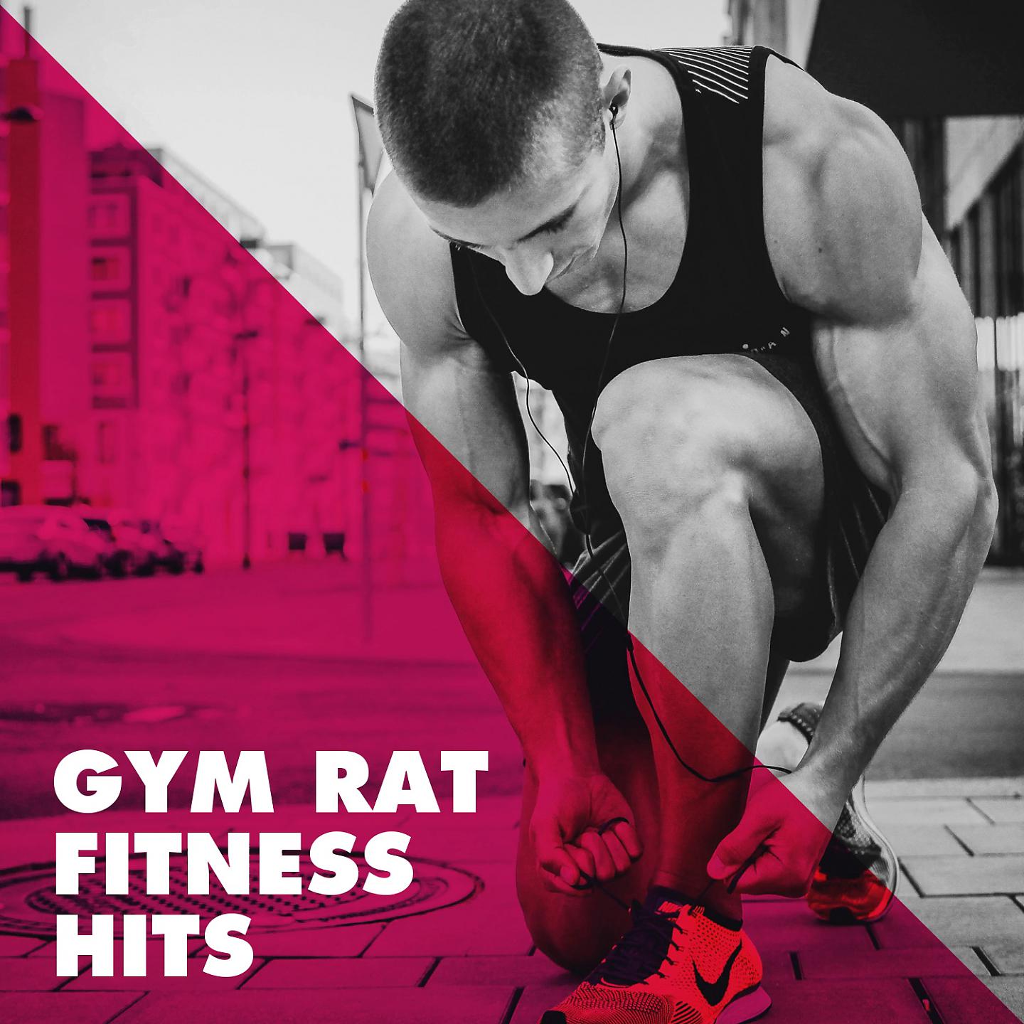 Постер альбома Gym Rat Fitness Hits