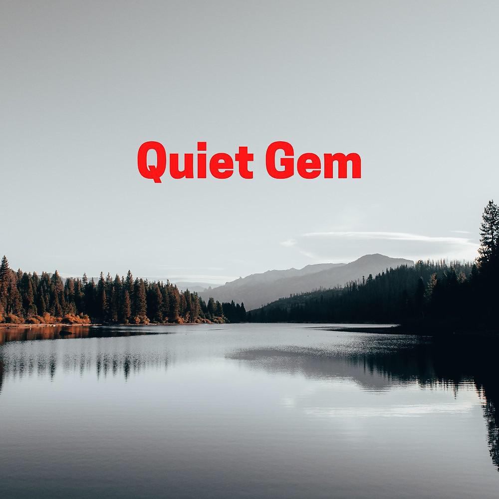 Постер альбома Quiet Gem