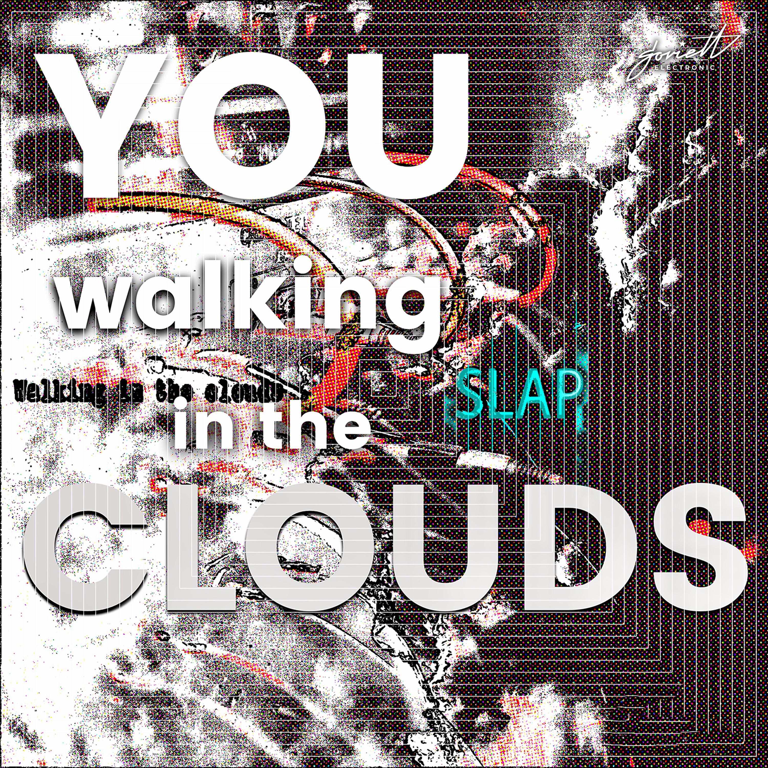 Постер альбома You Walking In the Clouds