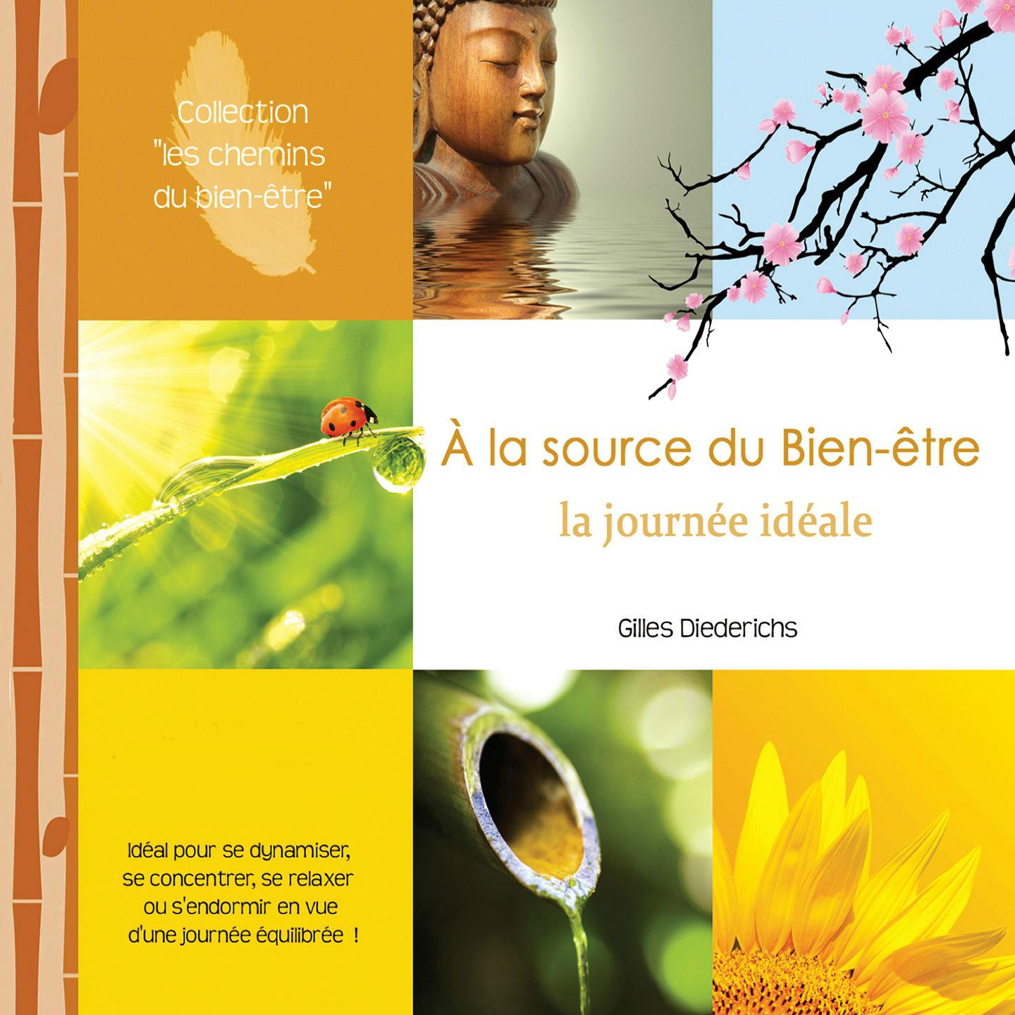 Постер альбома À la source du bien-être