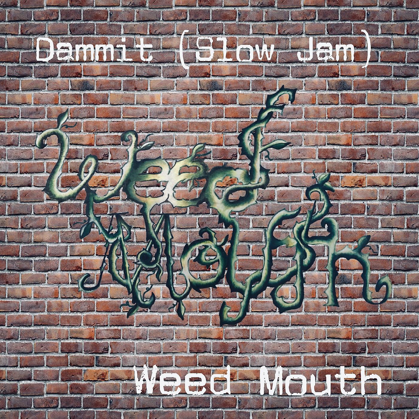 Постер альбома Dammit (Slow Jam)