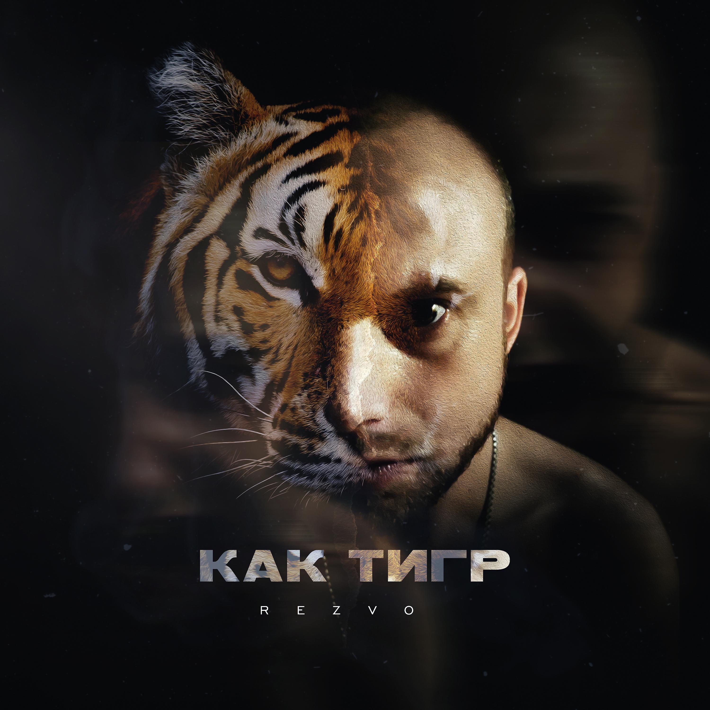 Постер альбома Как тигр