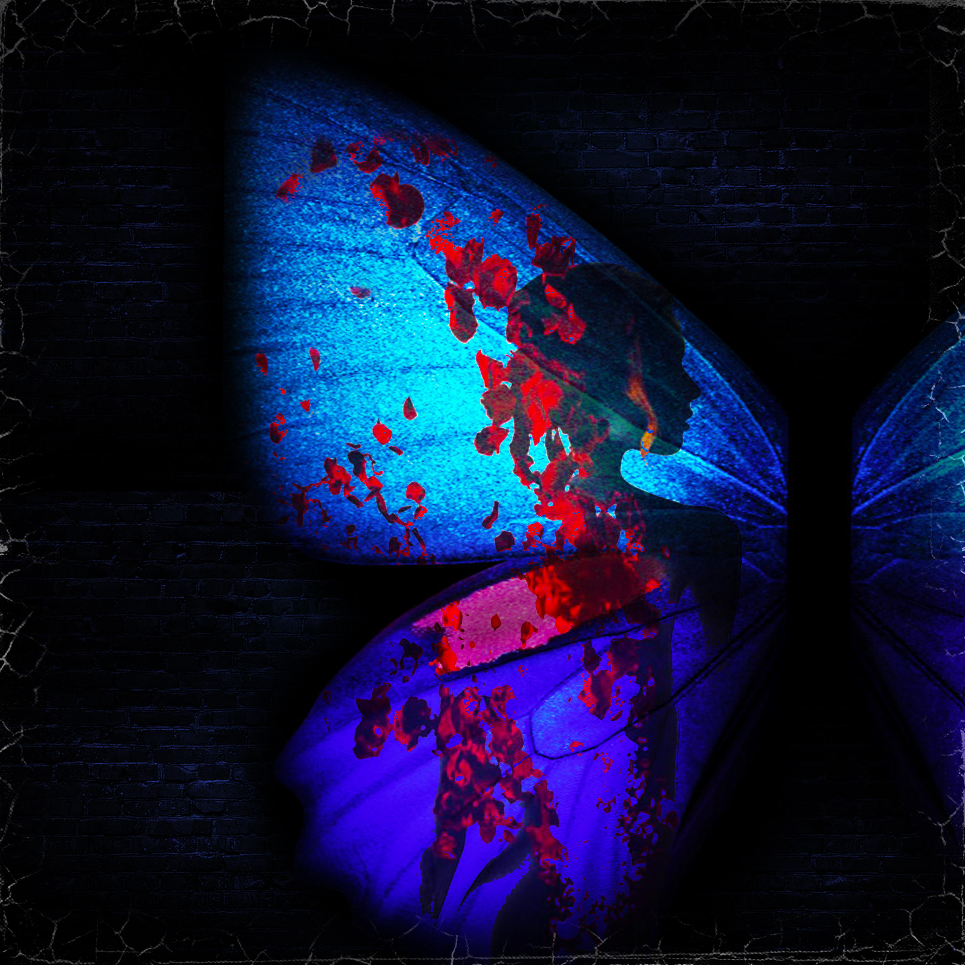 Постер альбома Твои бабочки
