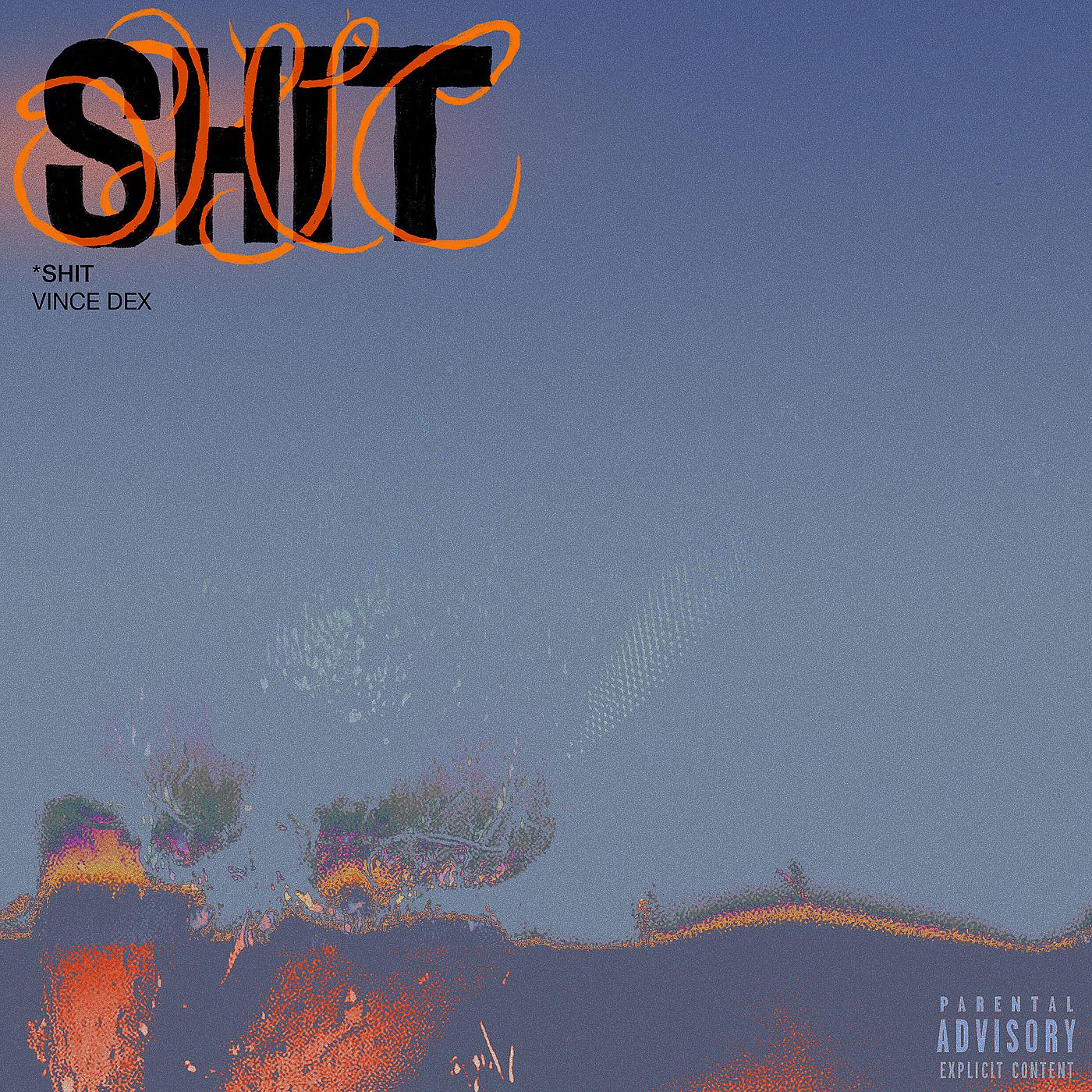 Постер альбома Shit