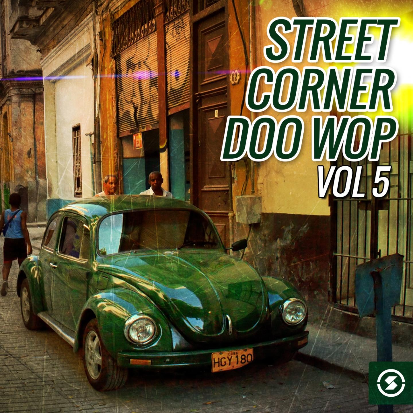 Постер альбома Street Corner Doo Wop, Vol. 5