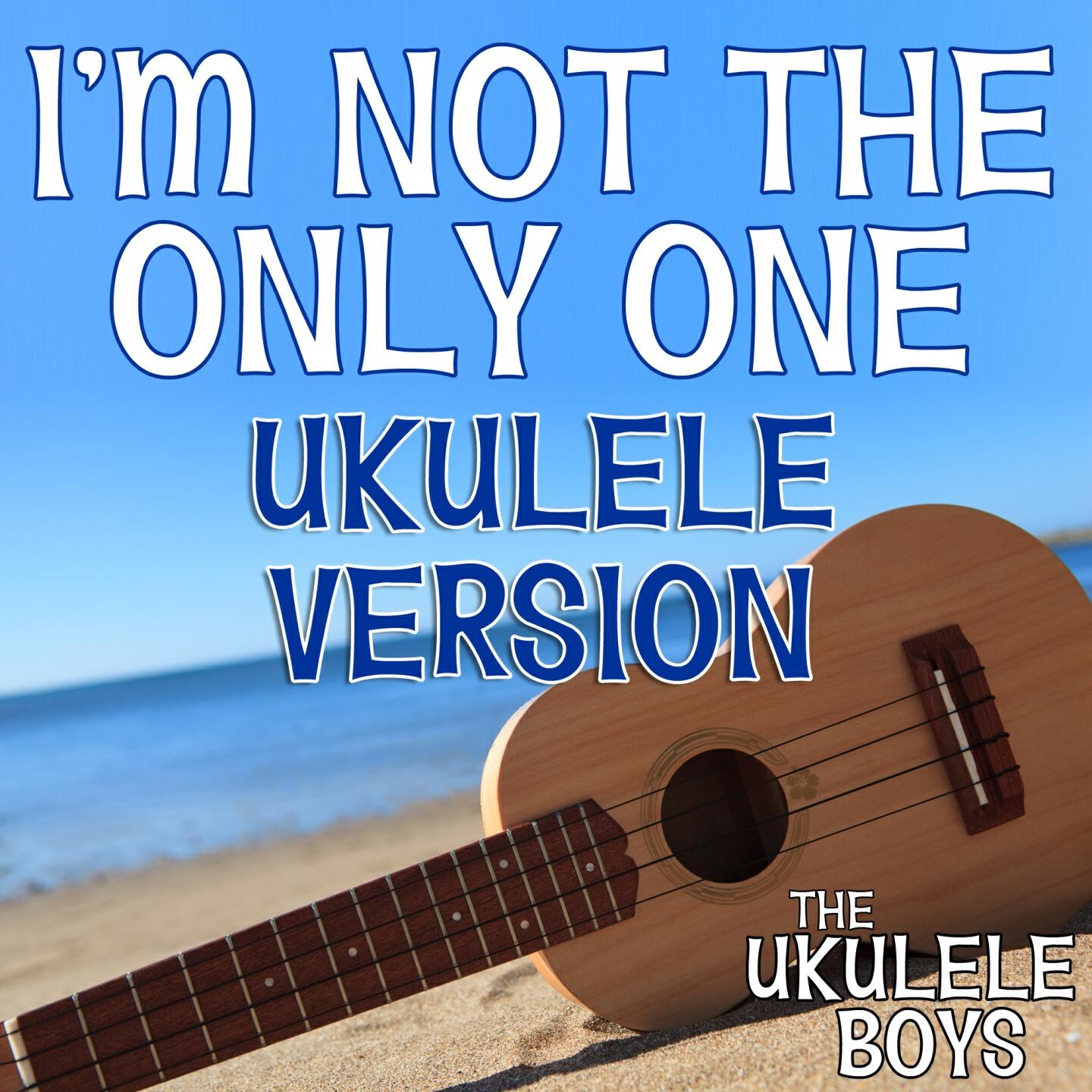 The Ukulele Boys - I'm Not the Only One (Ukulele Version)