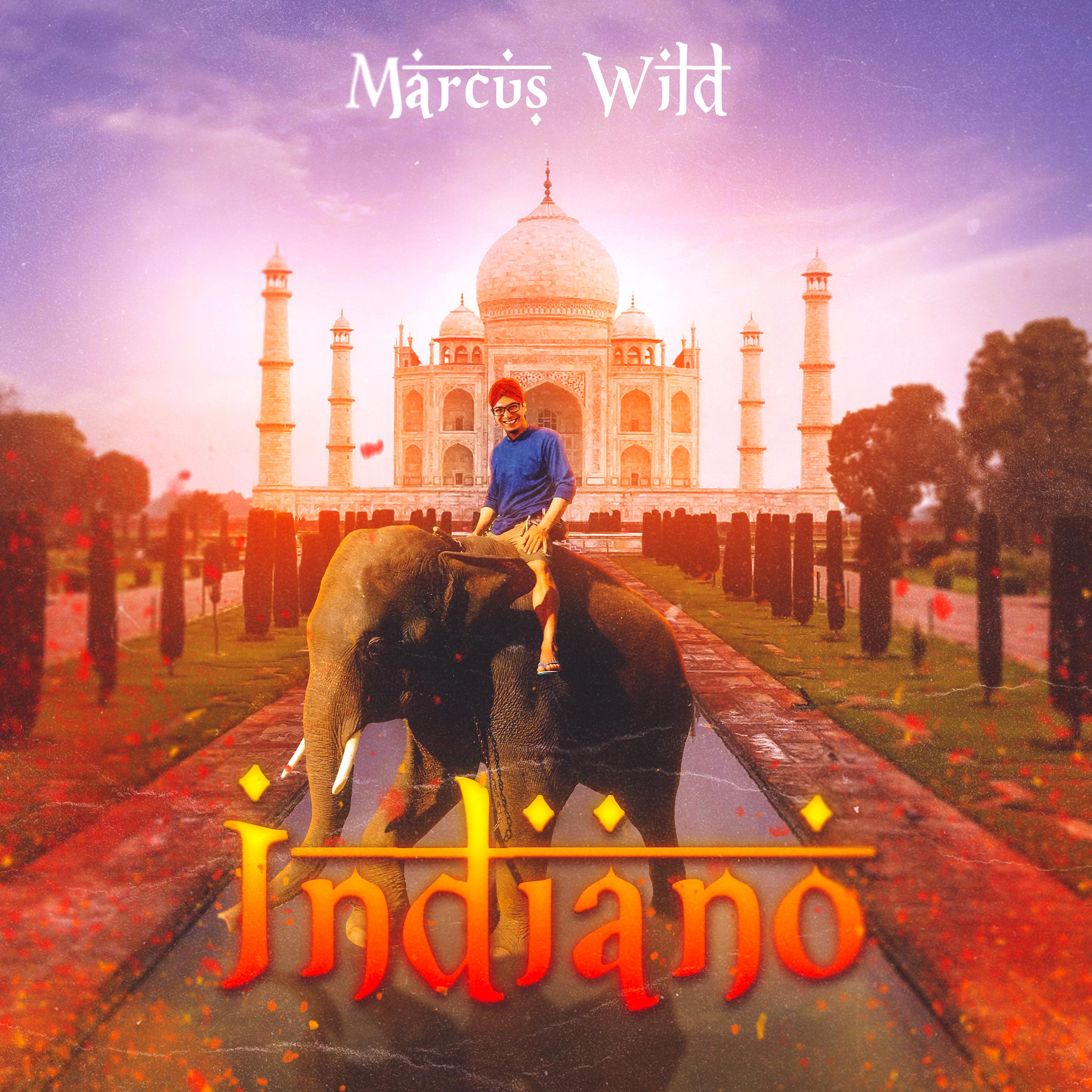 Постер альбома Indiano