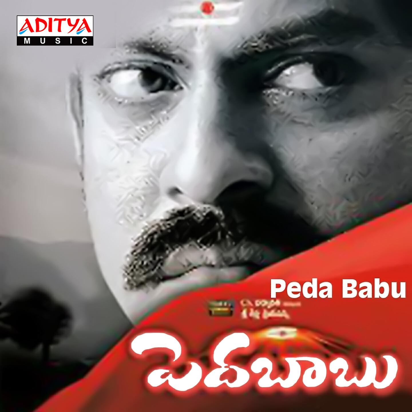 Chakri - Navvavayya Babu