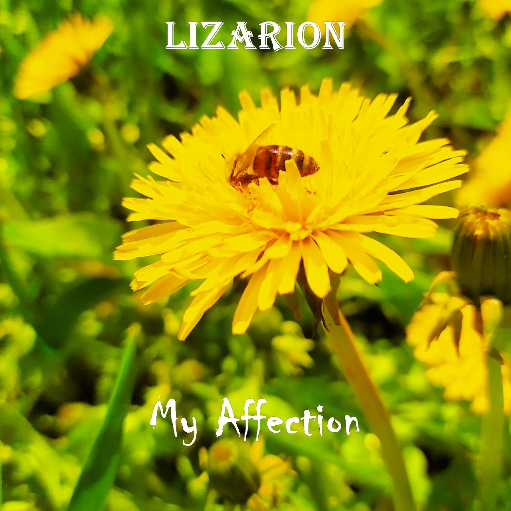Постер альбома My Affection