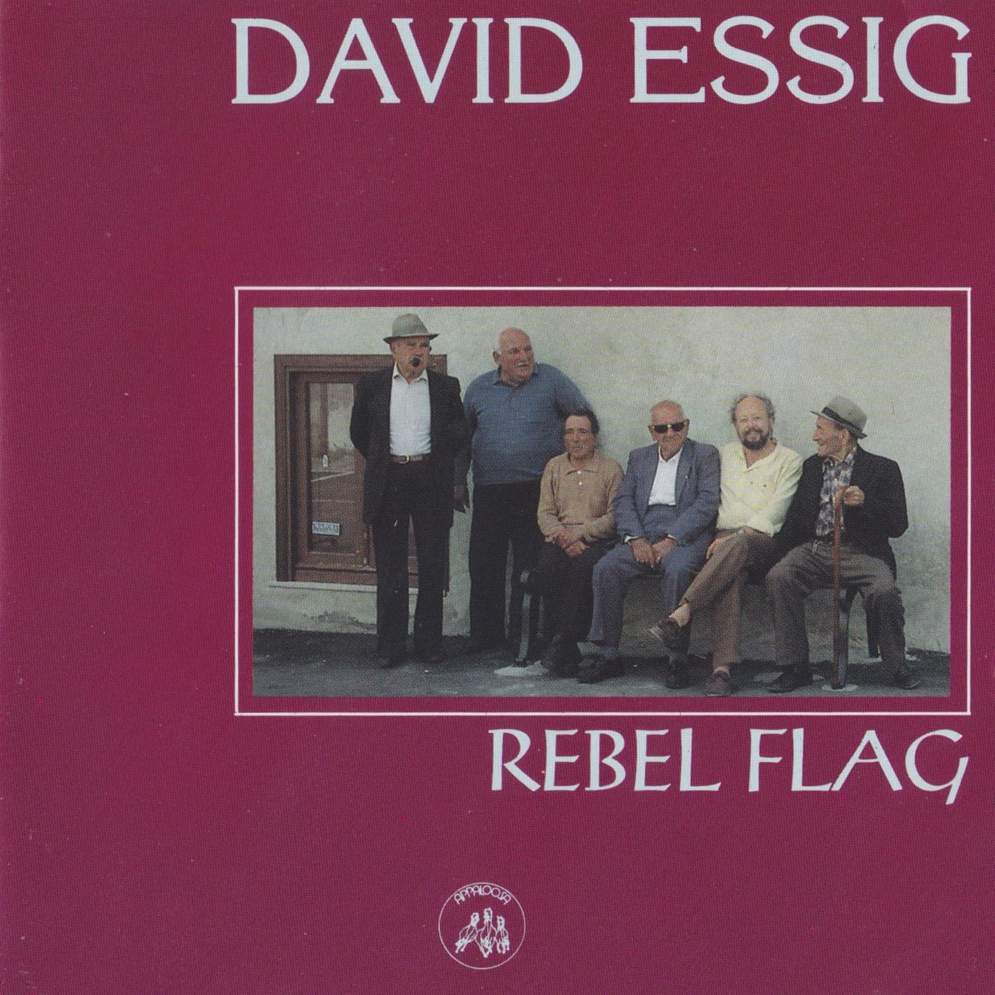 Постер альбома Rebel Flag