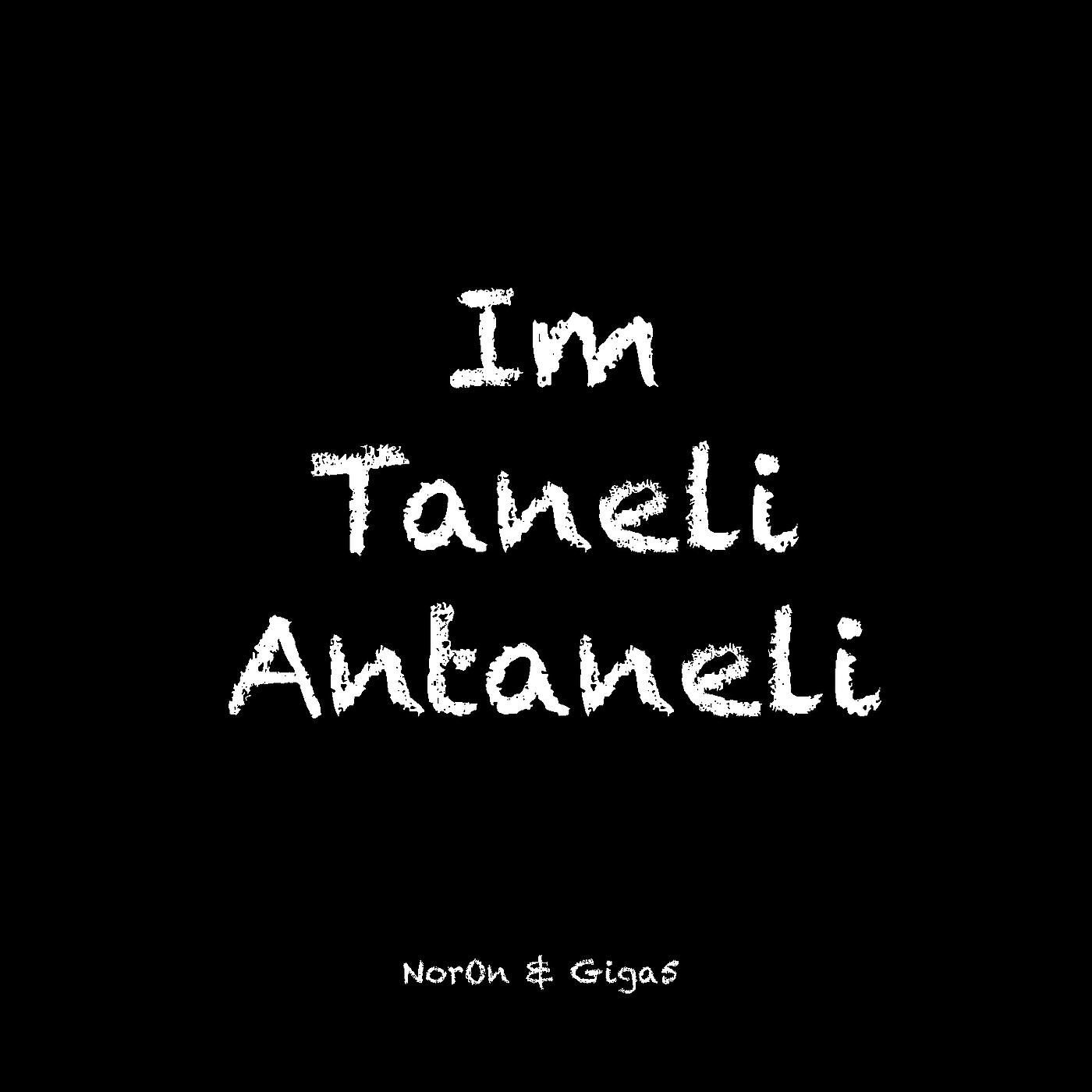 Постер альбома Im Taneli Antaneli