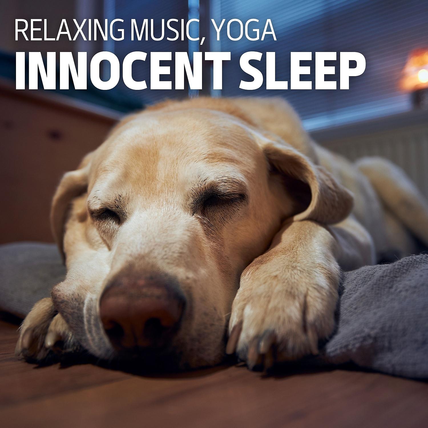 Постер альбома Innocent Sleep