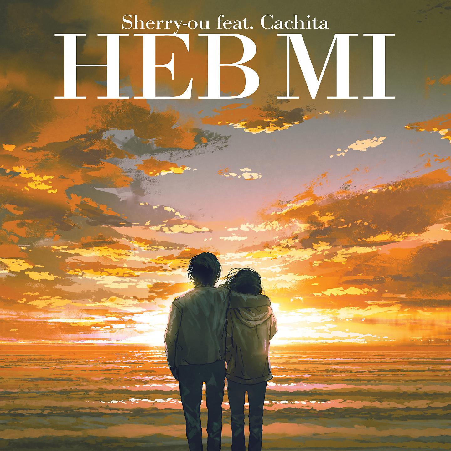 Постер альбома Heb Mi