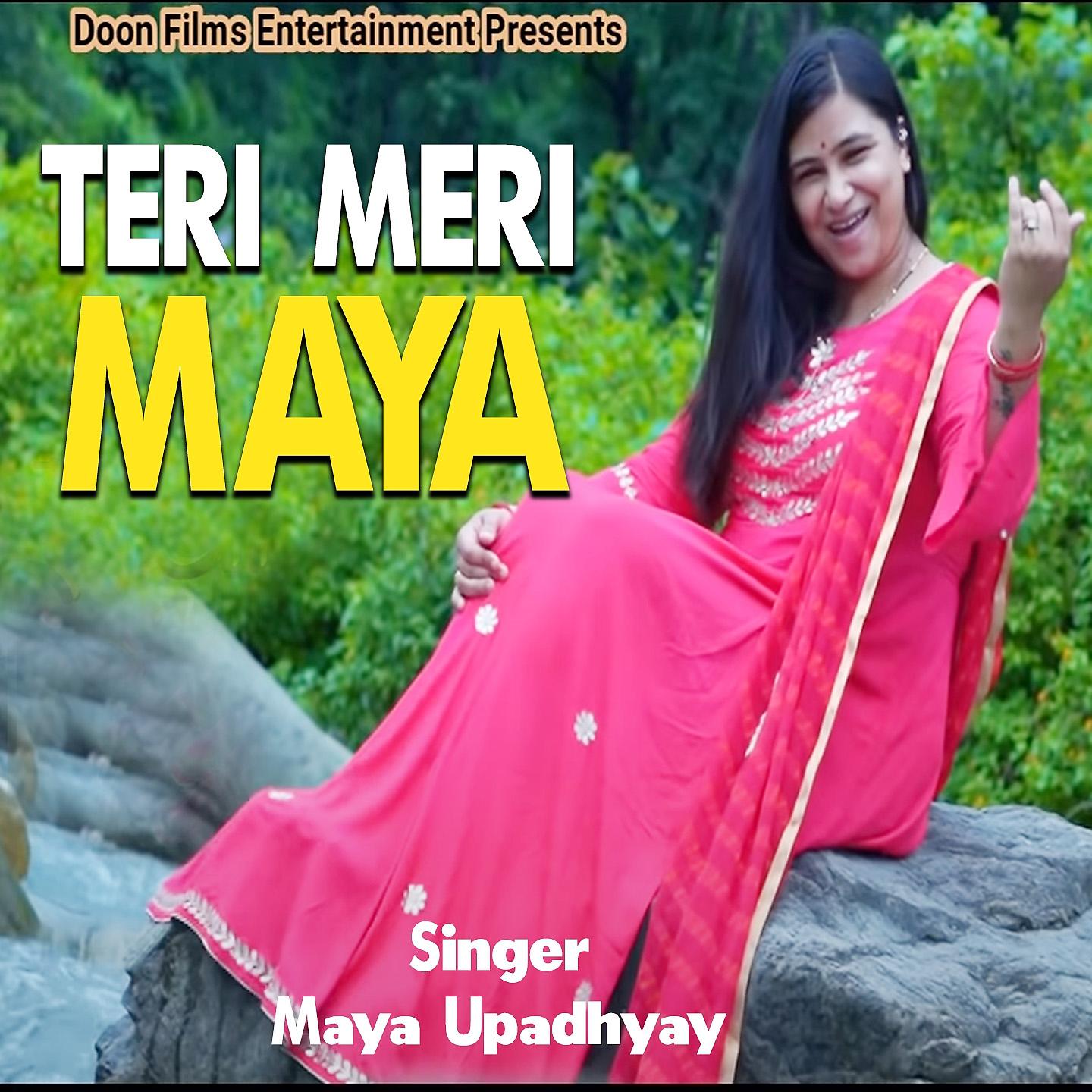 Постер альбома Teri Meri Maya