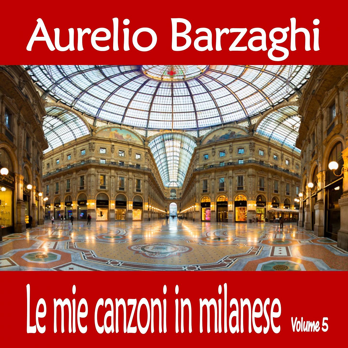 Постер альбома Le mie canzoni in milanese, Vol. 5