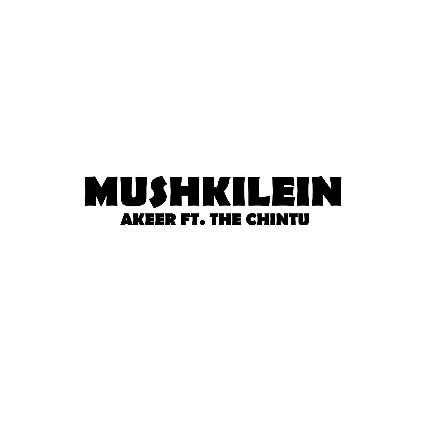 Постер альбома Mushkilein