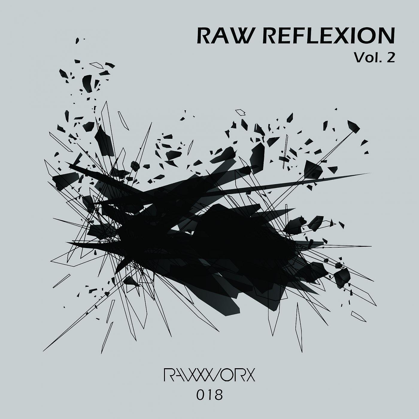 Постер альбома RAW Reflexion Vol. 2