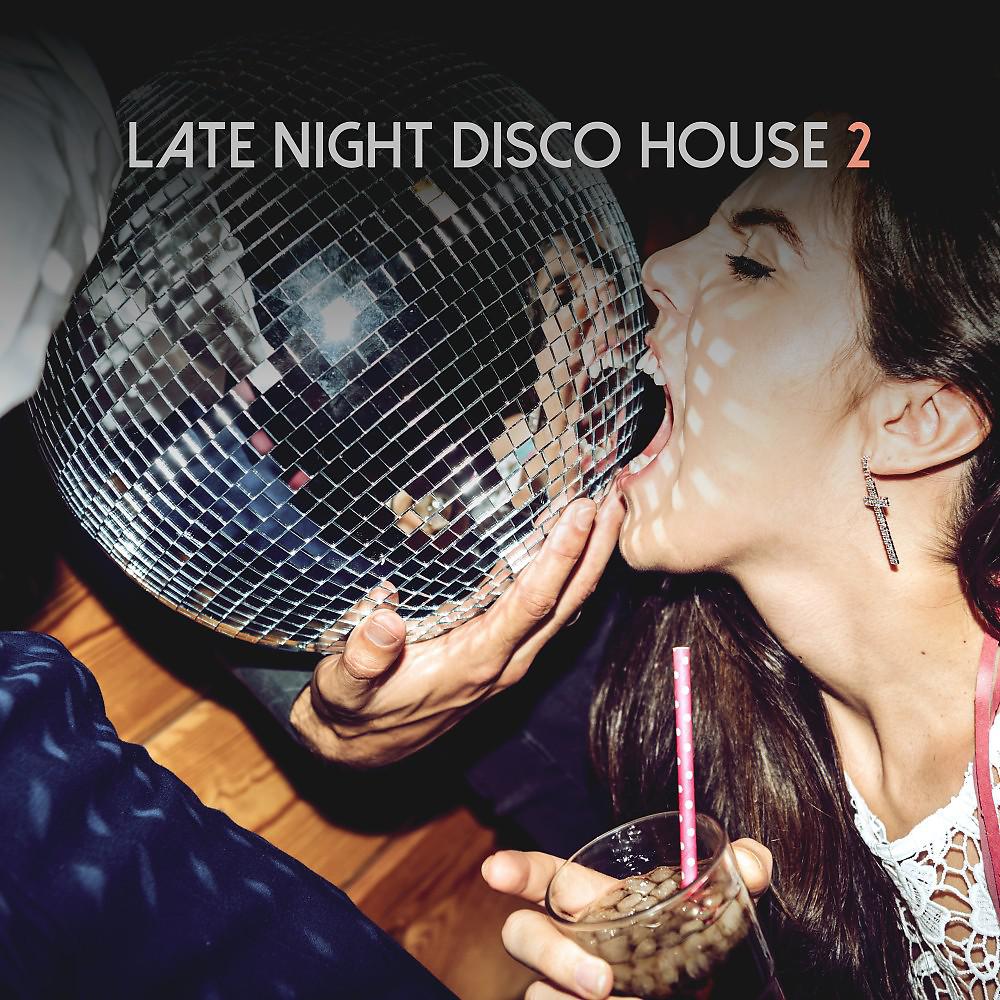 Постер альбома Late Night Disco House, Vol. 2