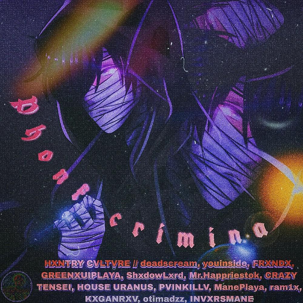 Постер альбома Phonk Criminal
