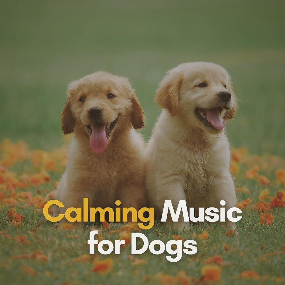Постер альбома Calming Music for Dogs