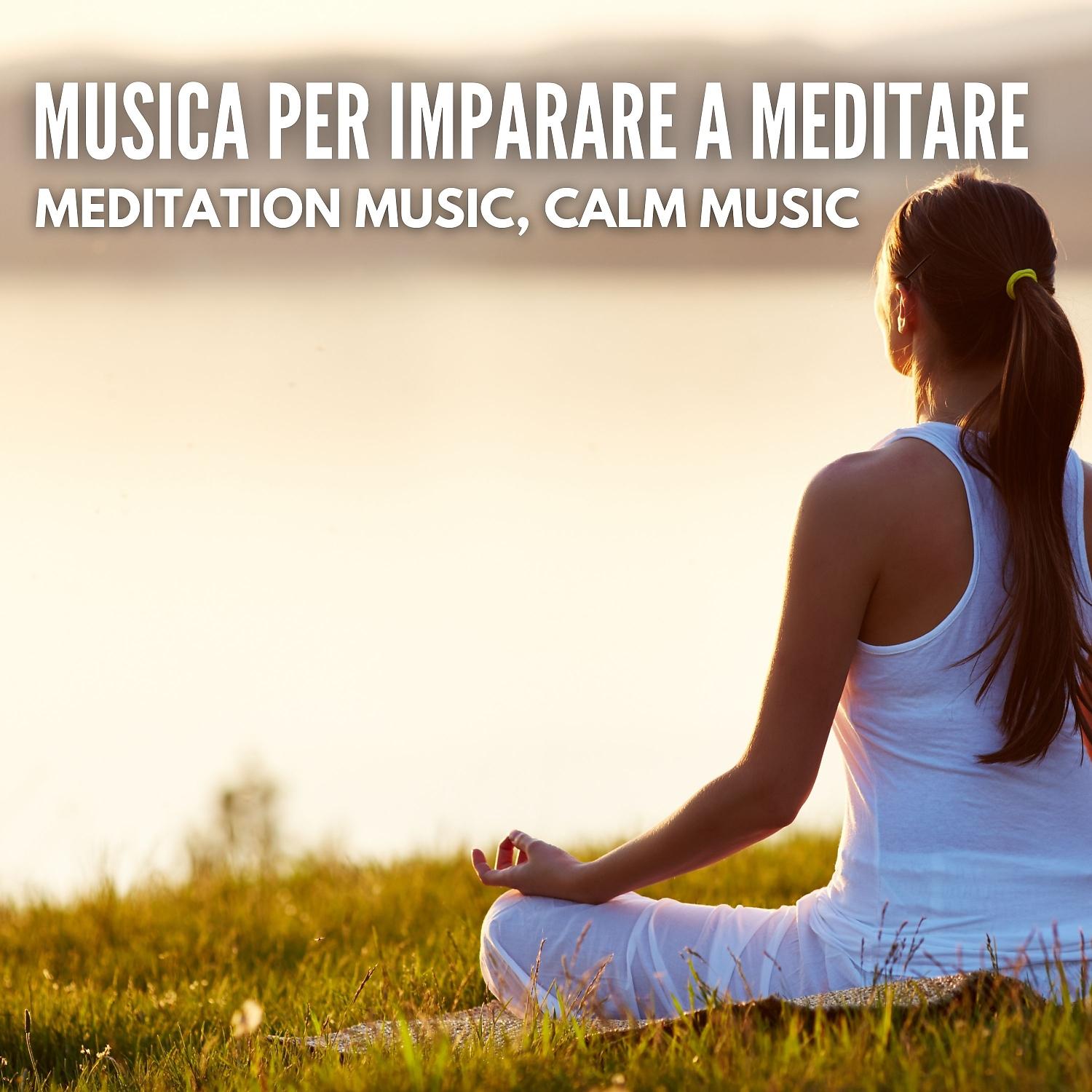 Постер альбома Musica per imparare a meditare
