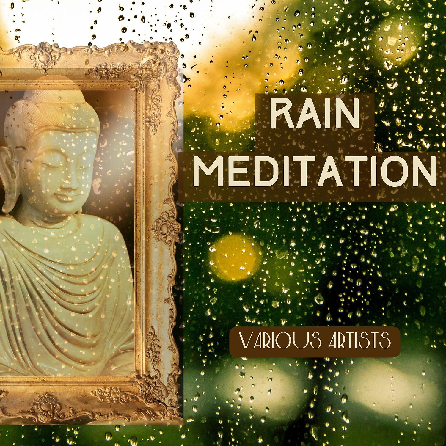 Постер альбома Rain Meditation