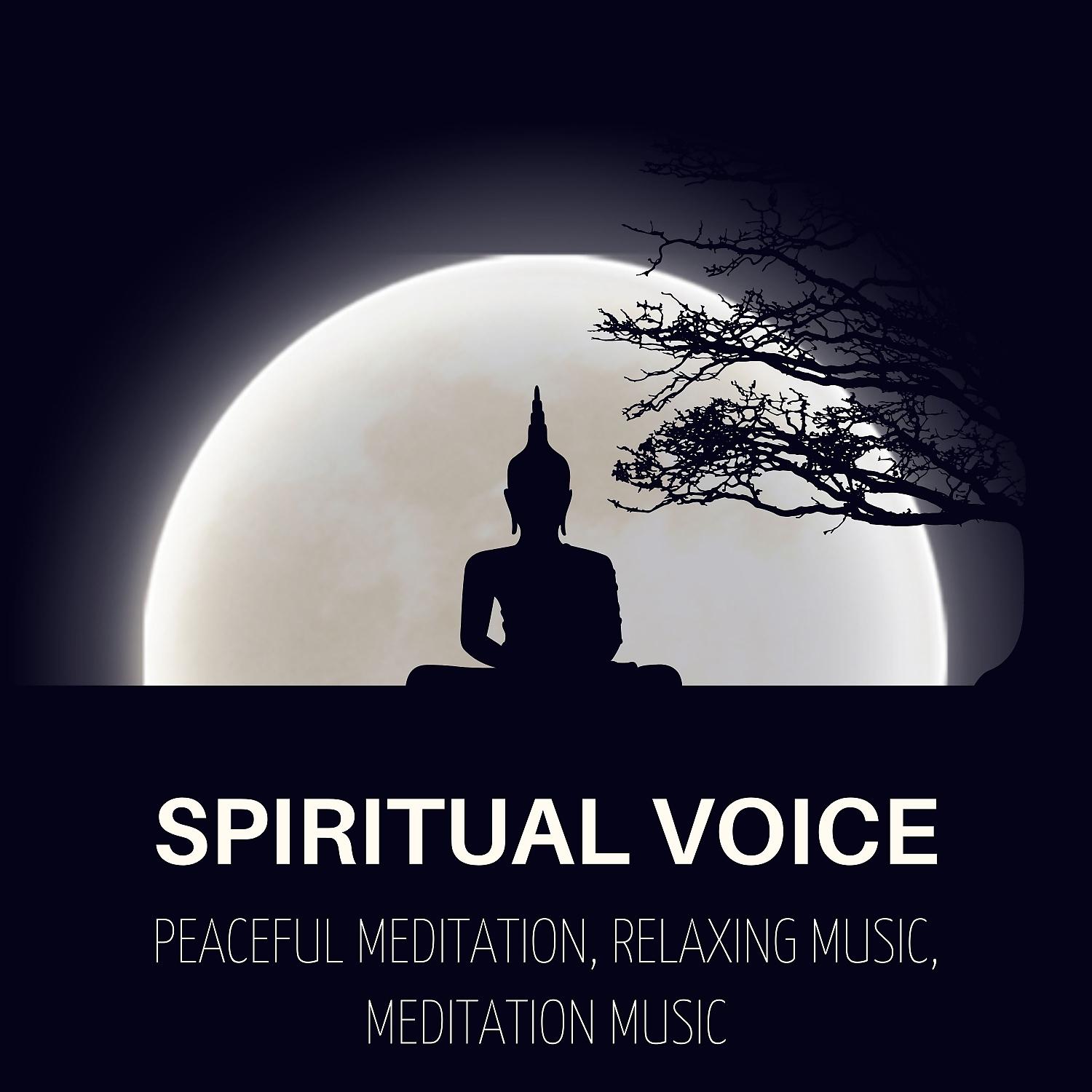 Постер альбома Spiritual Voice