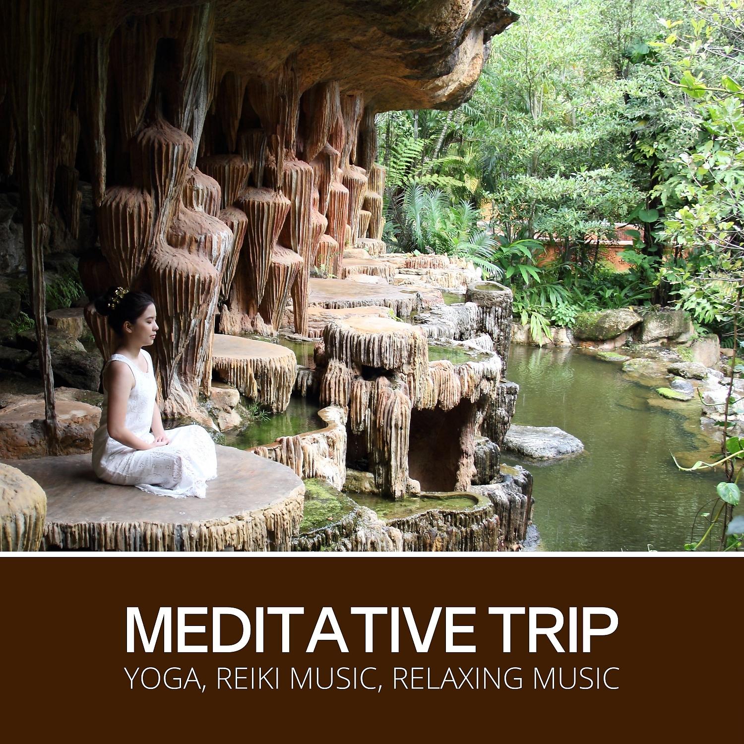Постер альбома Meditative Trip