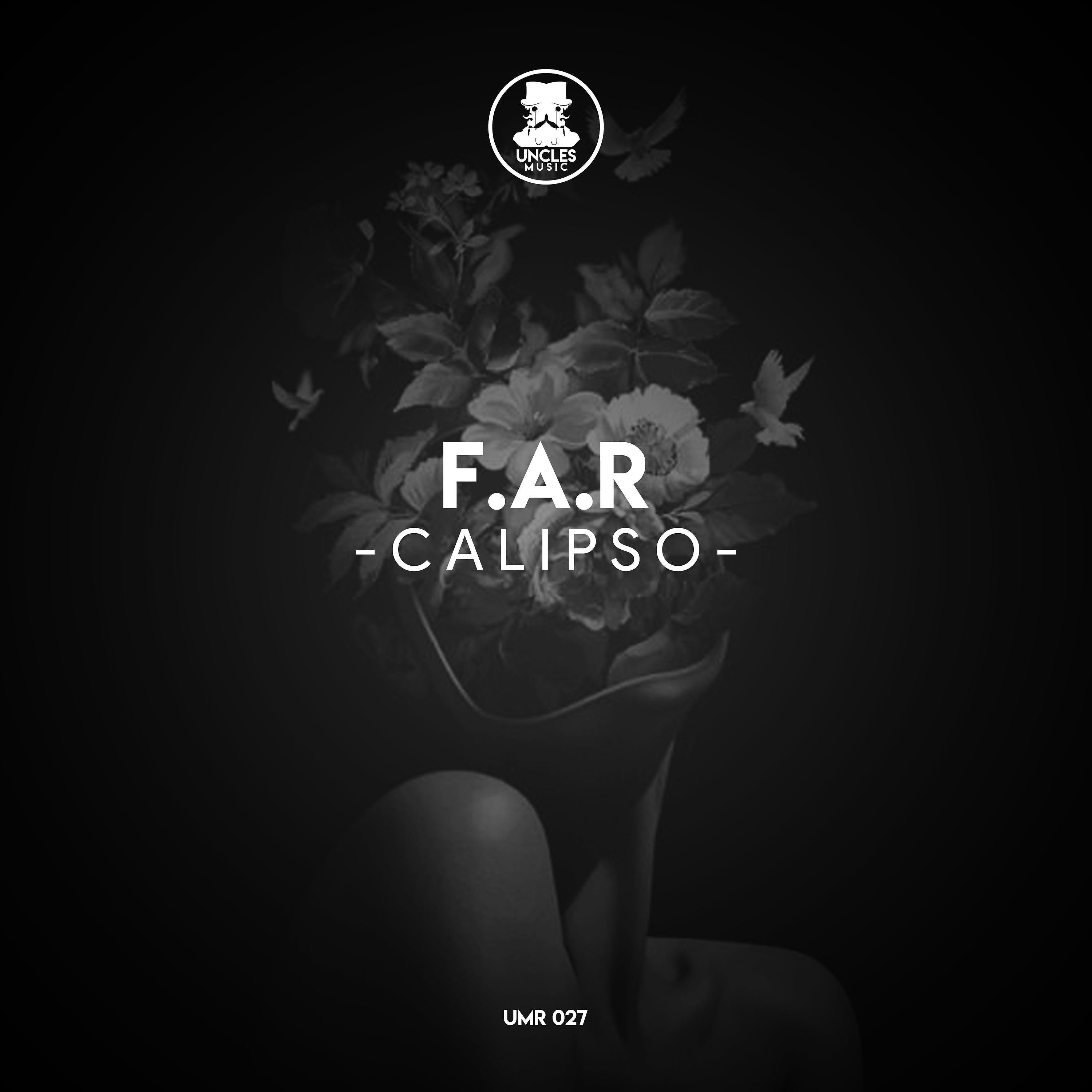 Постер альбома Calipso 