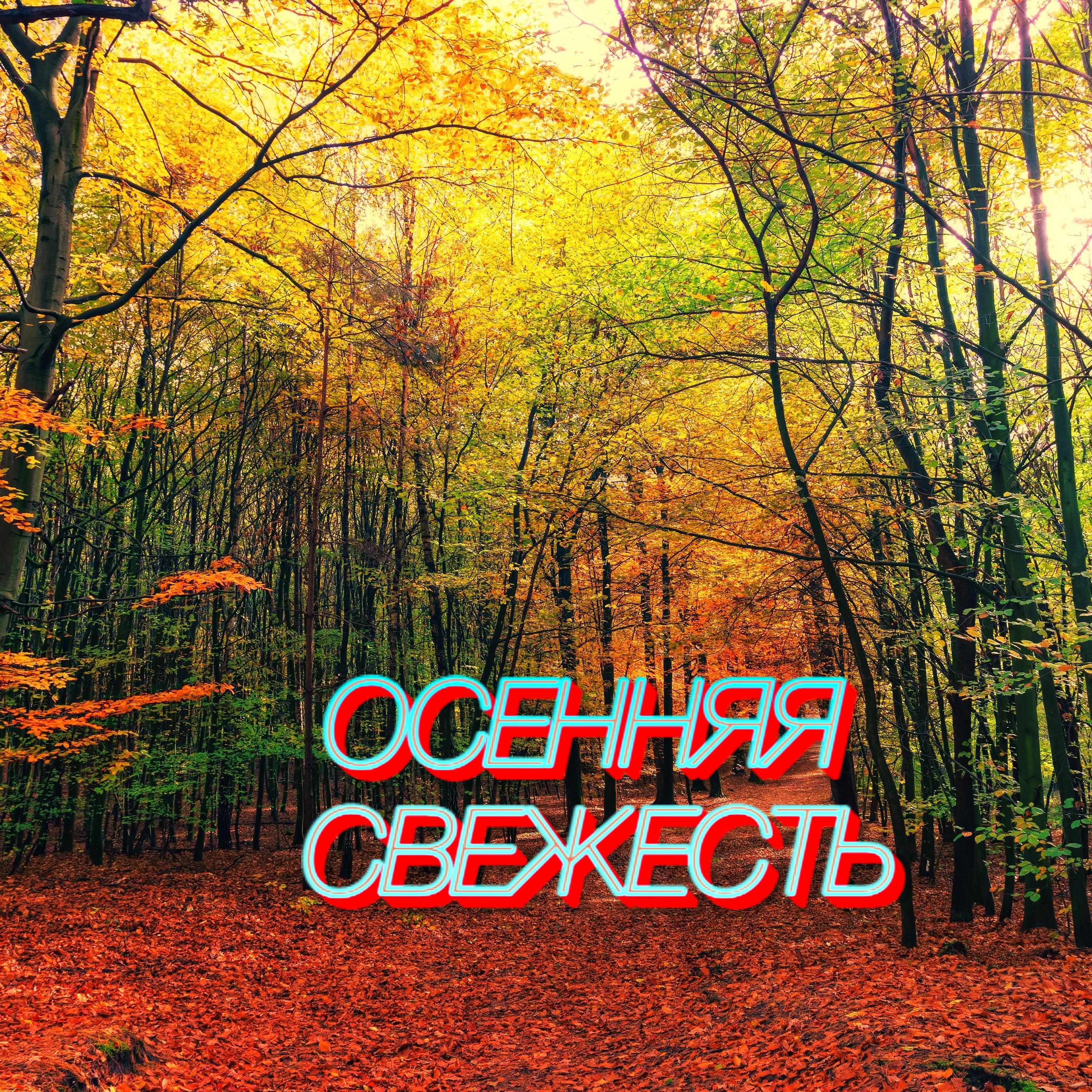Постер альбома Осенняя свежесть