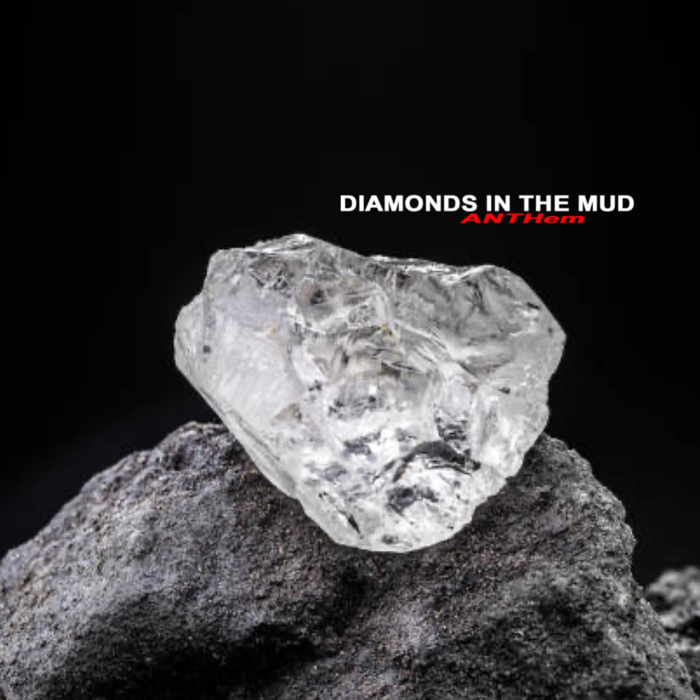 Постер альбома Diamonds in the Mud