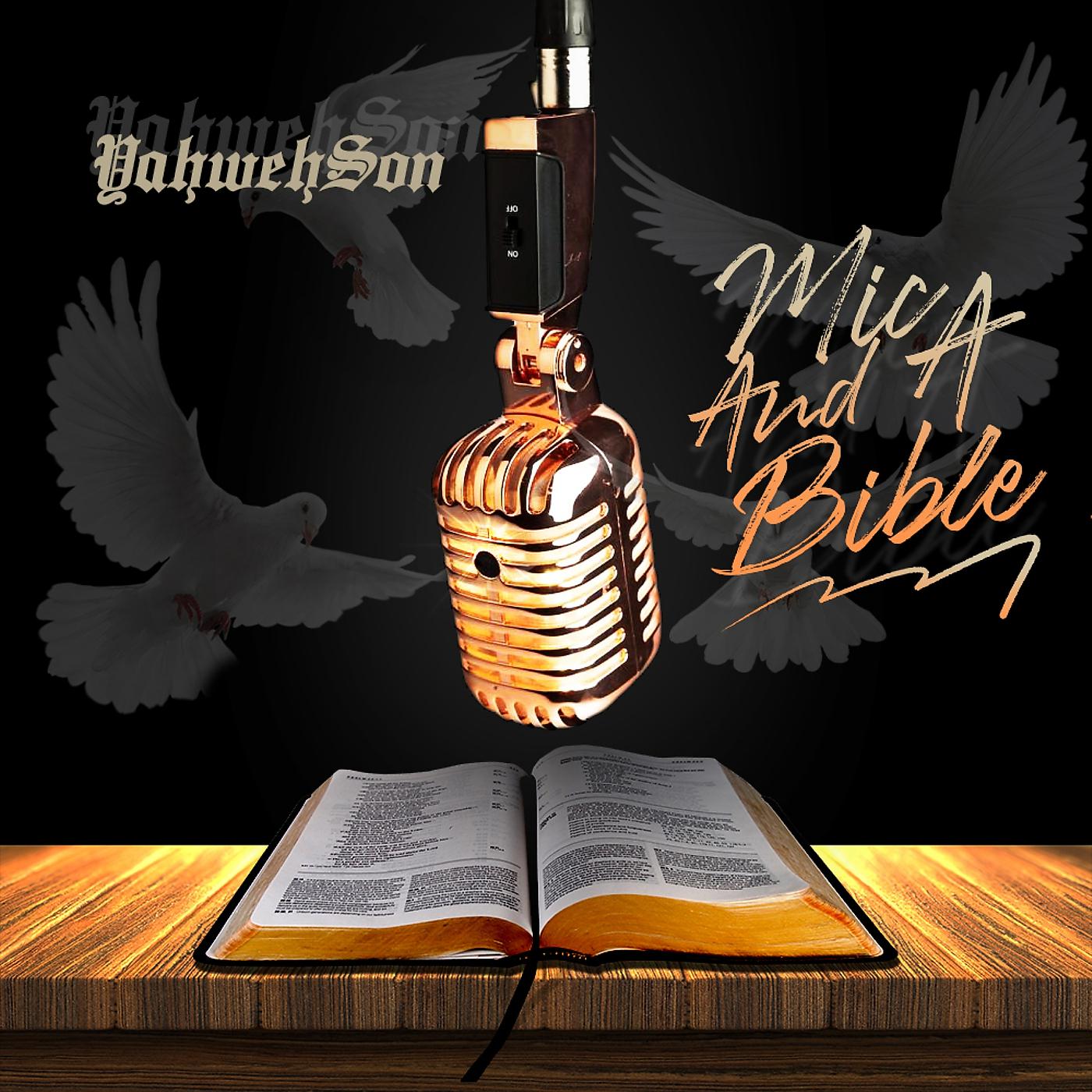 Постер альбома Mic and a Bible