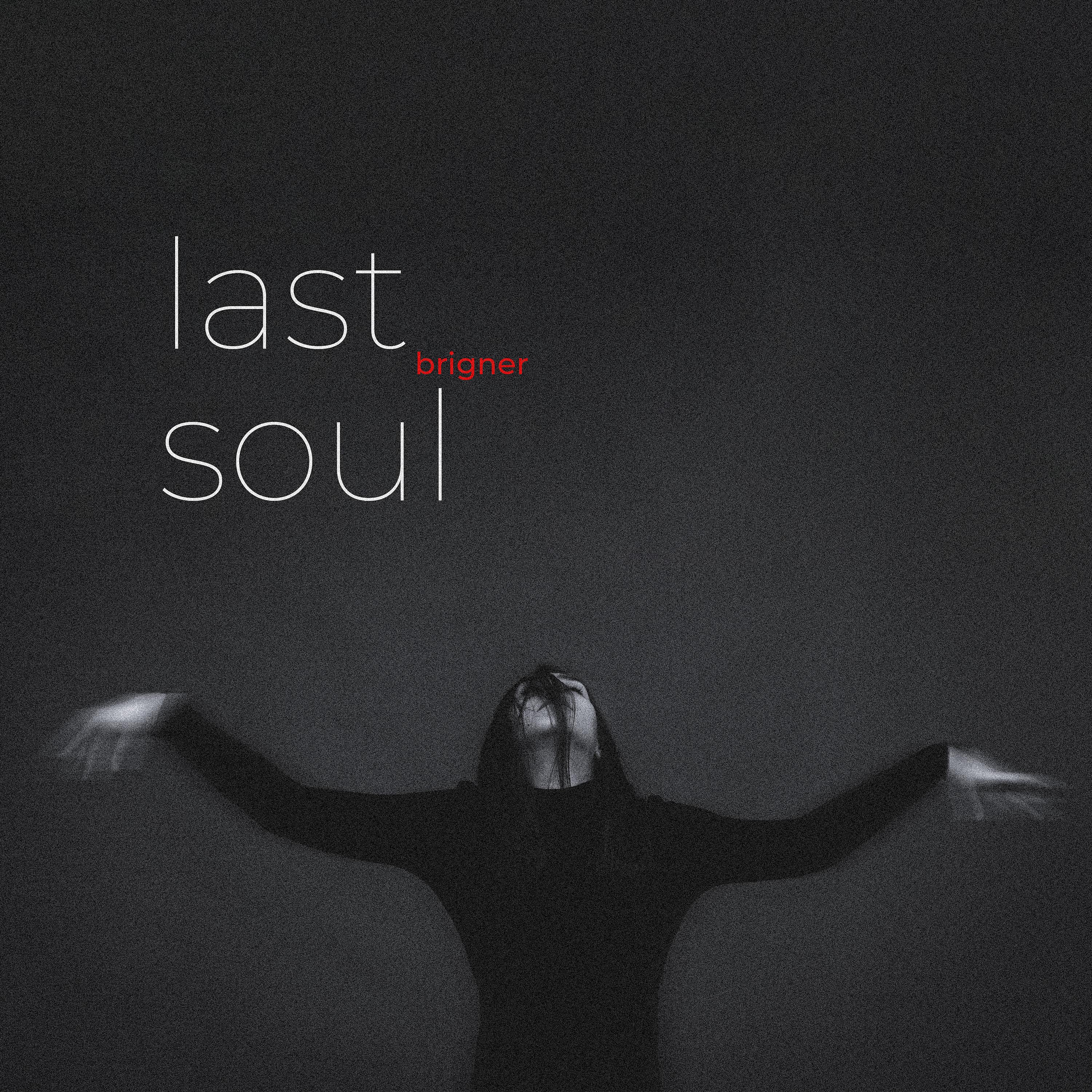 Постер альбома Last Soul