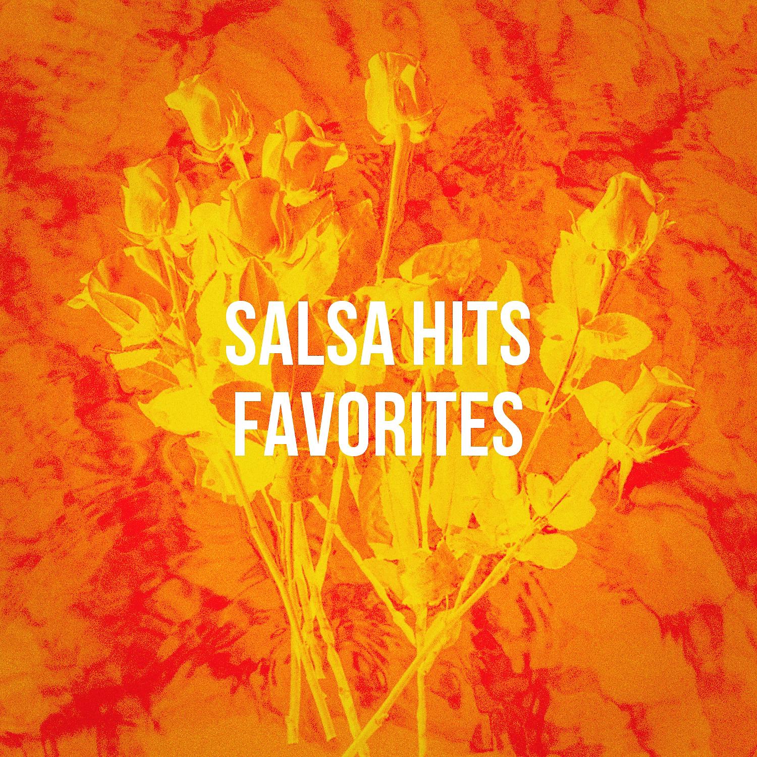 Постер альбома Salsa Hits Favorites