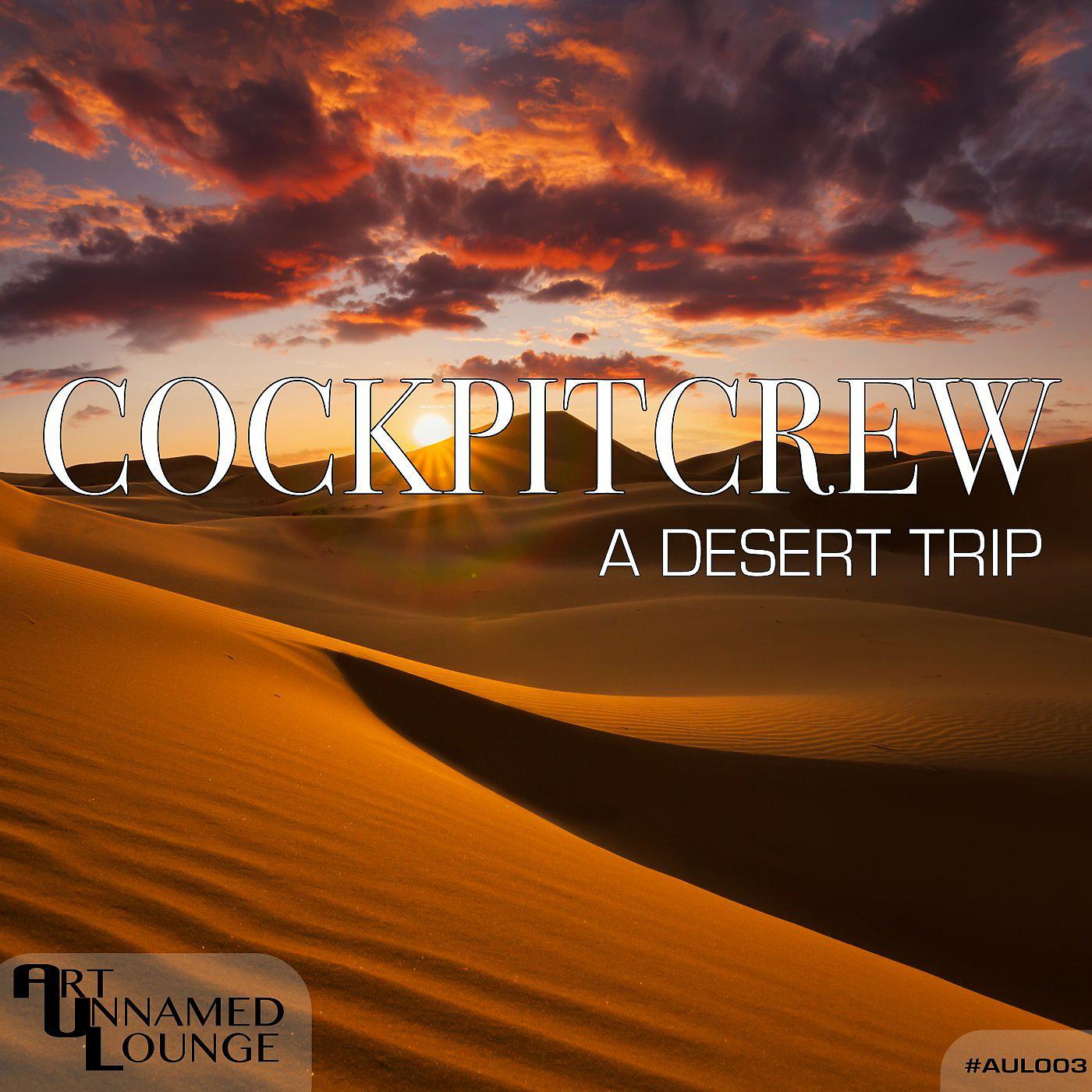 Постер альбома A Desert Trip