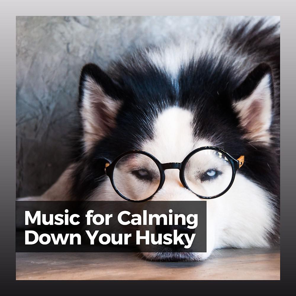 Постер альбома Music for Calming Down Your Husky