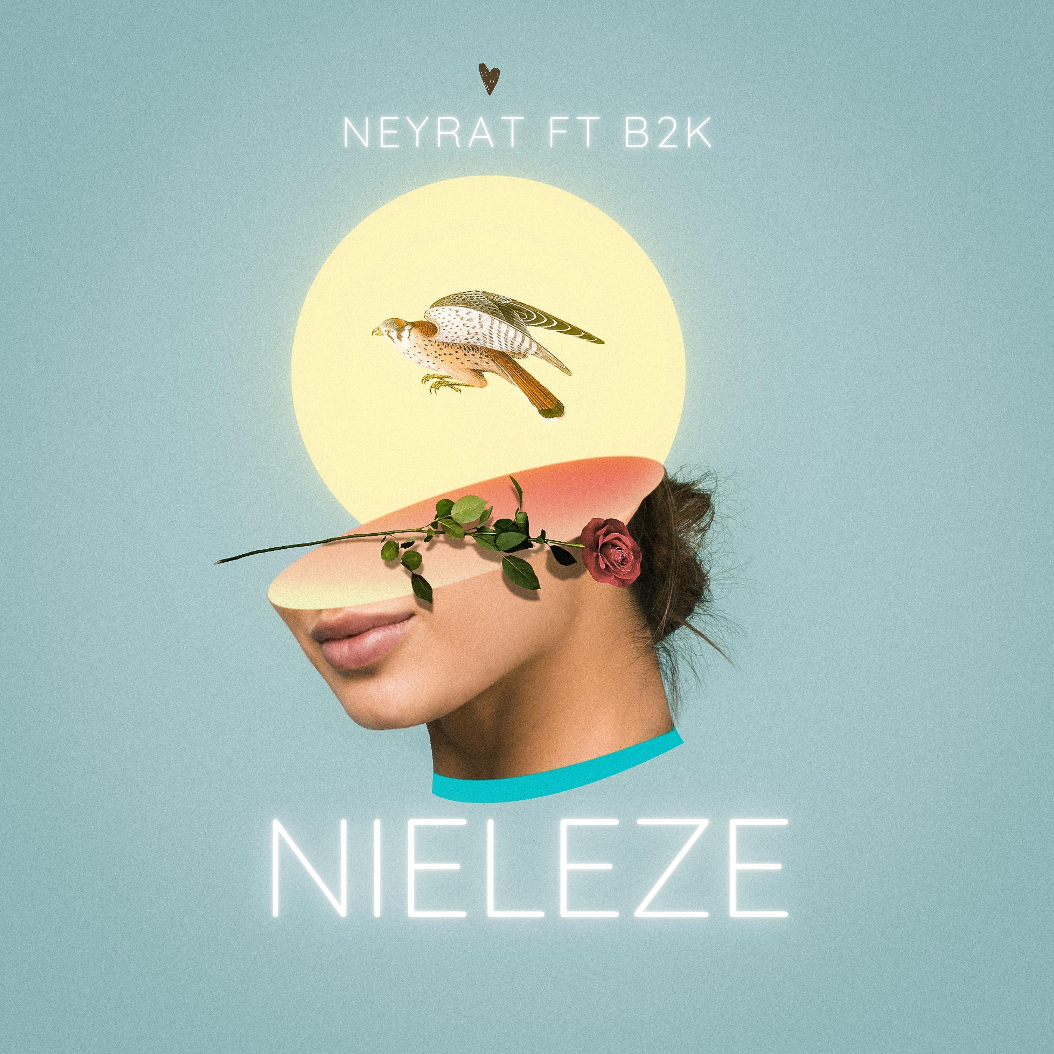 Постер альбома Nieleze